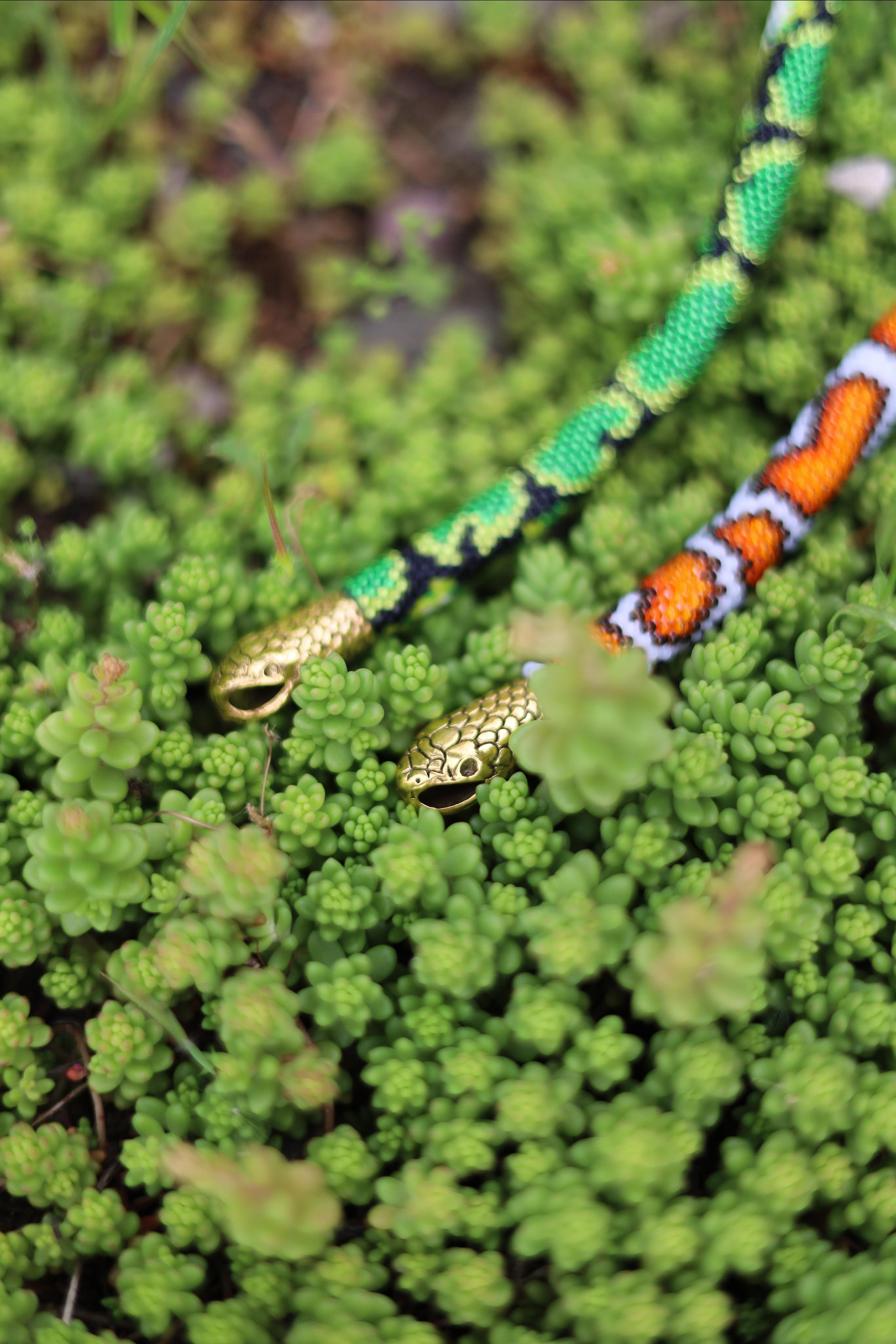 Little Big Snake. Света Шувалова — фотограф и видеограф в Тбилиси