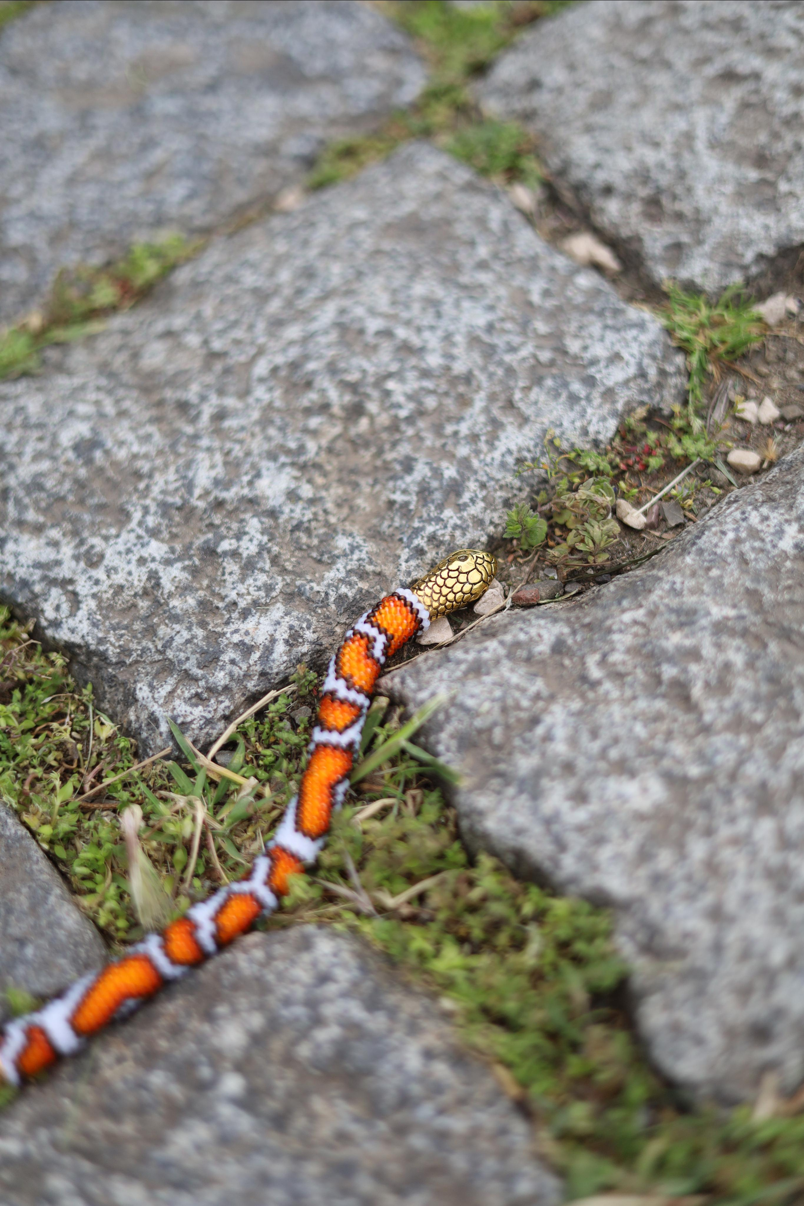 Little Big Snake. Света Шувалова — фотограф и видеограф в Тбилиси