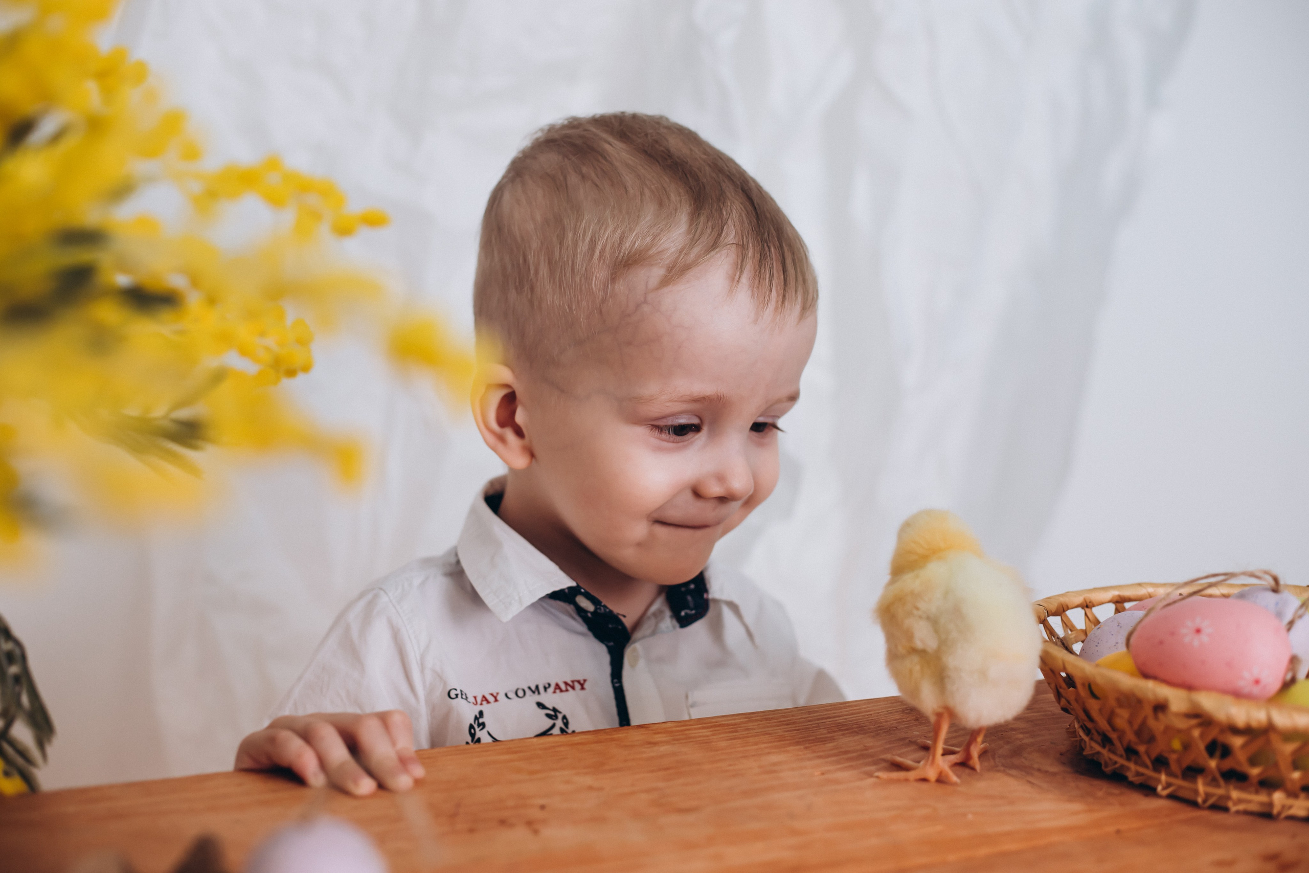 С цыплятами. Семейный фотограф Нижневартовск Тюмень Ефимова Ирина