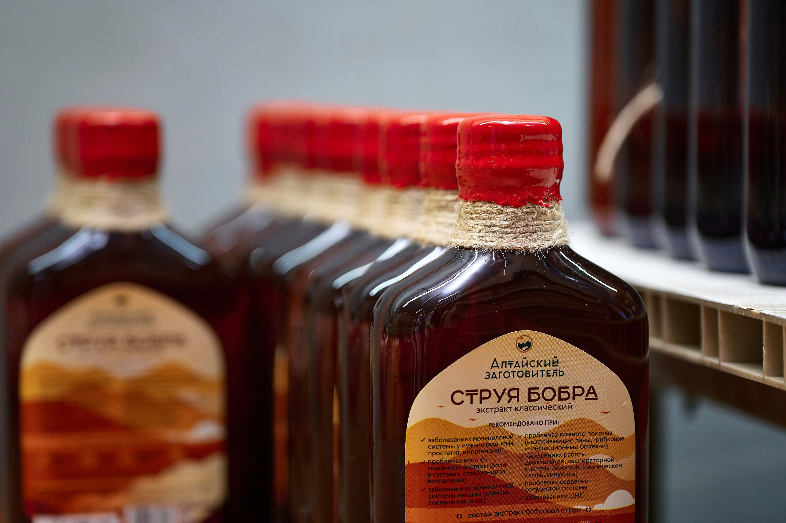 Алтайский изготовитель. Фотограф Опыт Качество Скорость Горный Алтай Барнаул