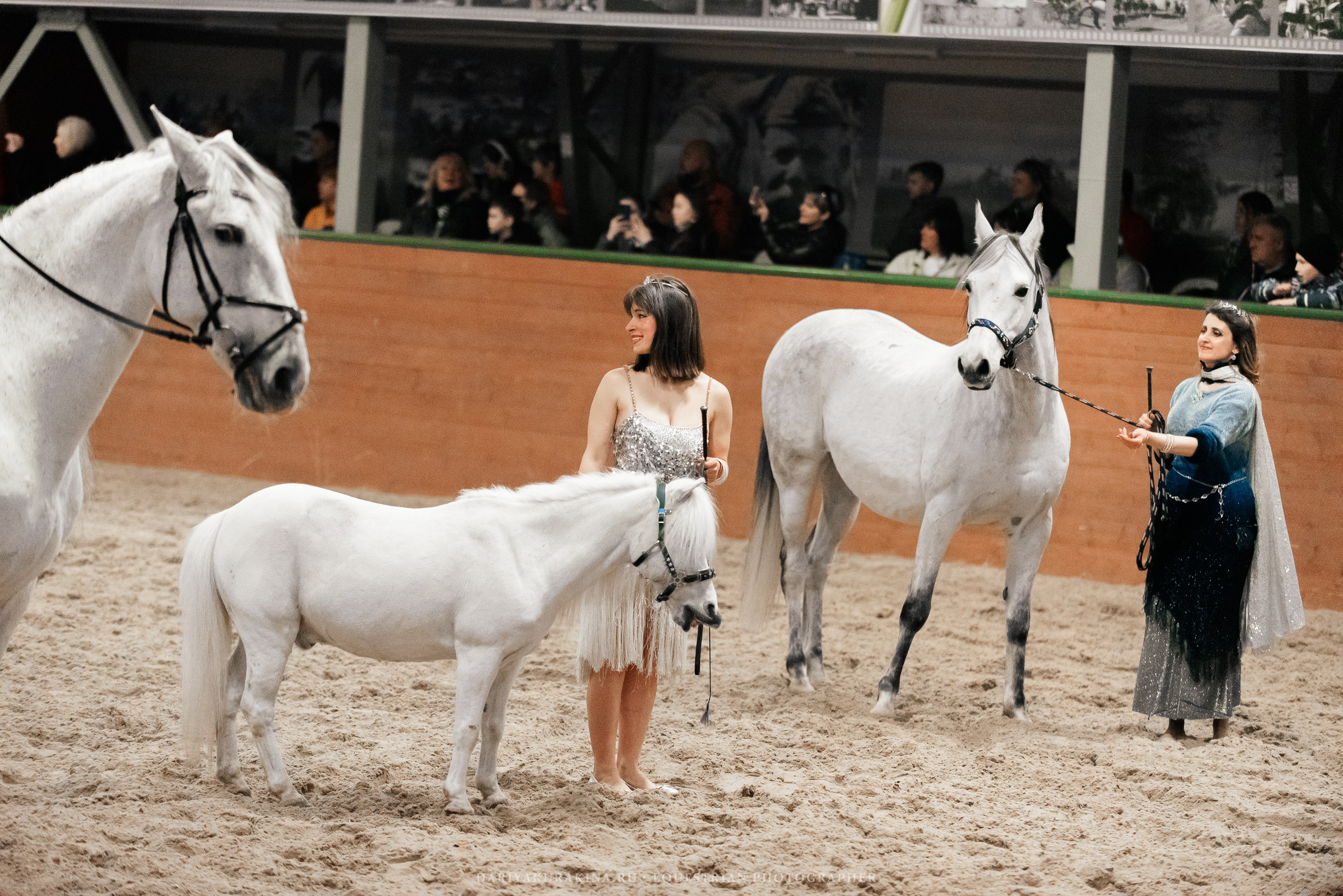 Конное представление «Дыхание Звёзд». Конный фотограф Куракина Дарья • Фотосессии с лошадьми