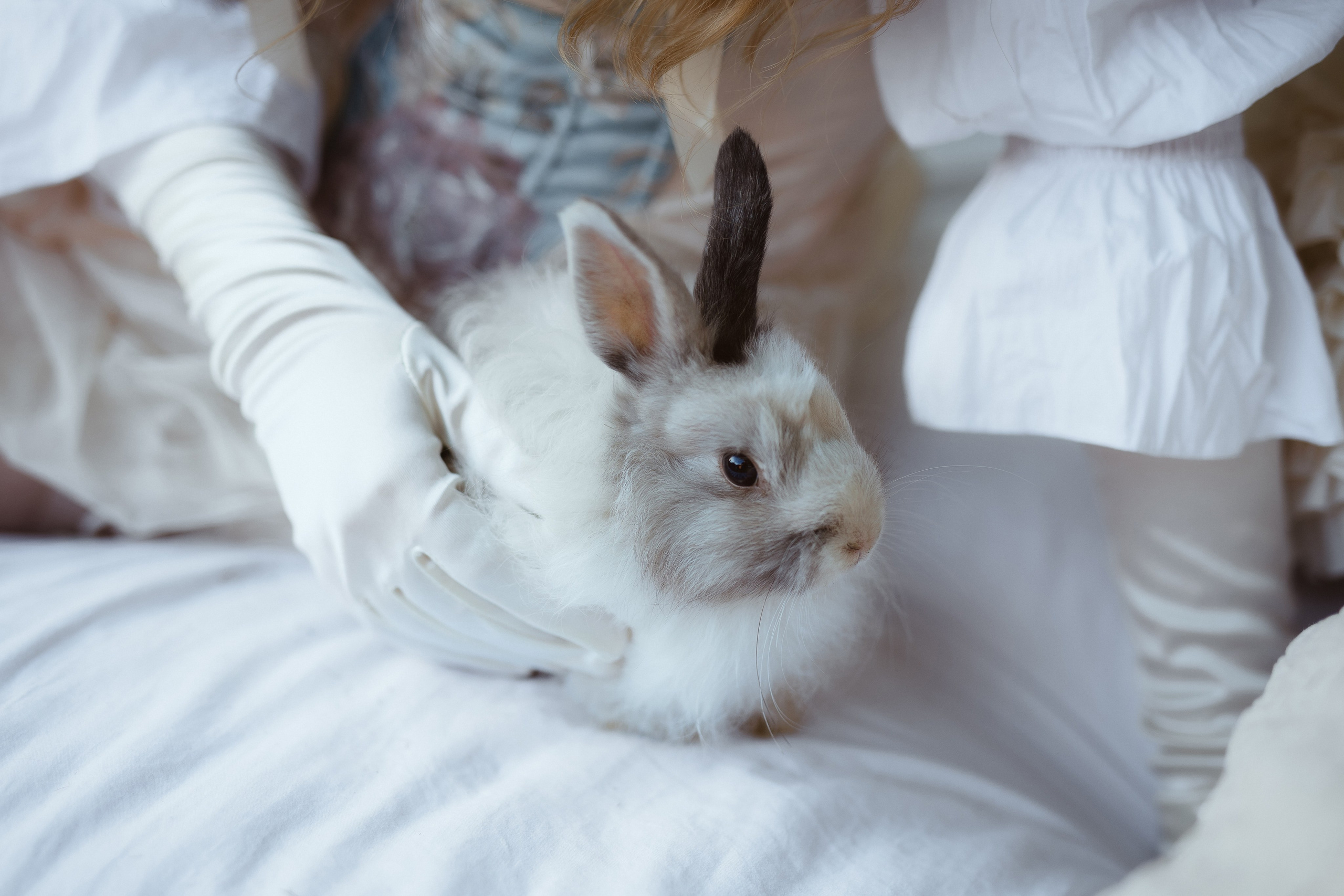 Анастасия. Свадебный и семейный фотограф в Тамбове и Котовске Артём Комбаров