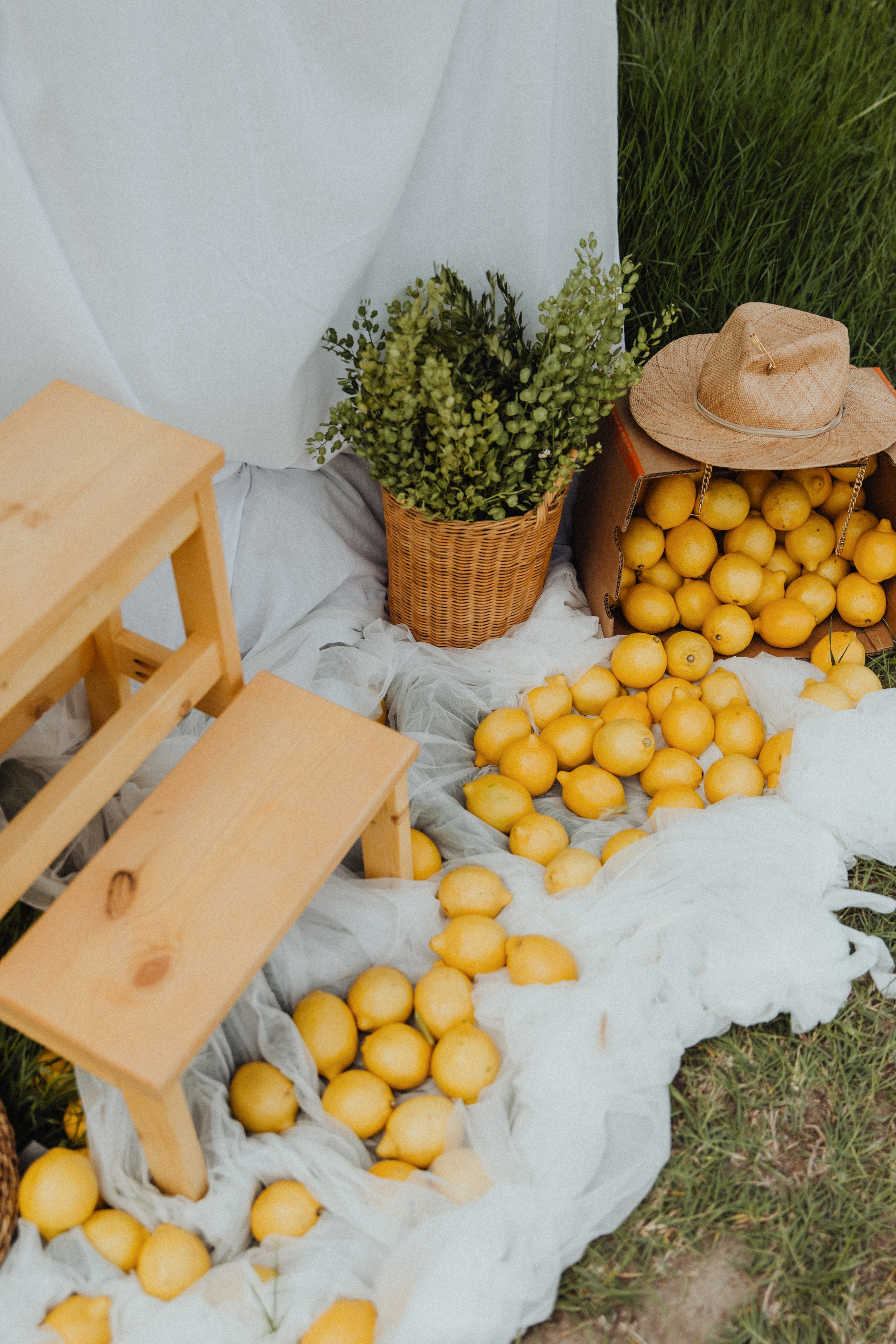 Lemon. Свадебный фотограф Анастасия Пальчикова