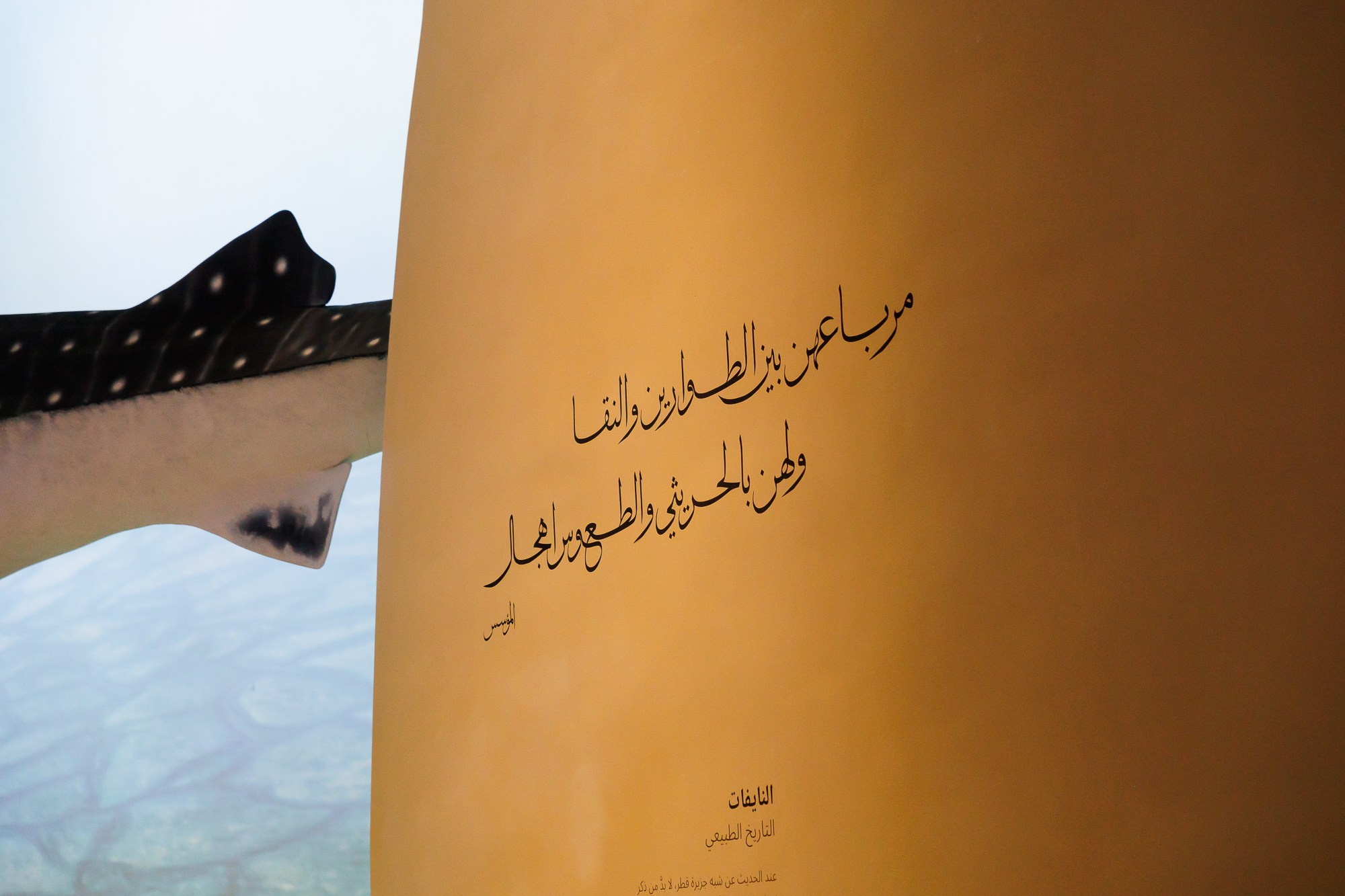 Корпоративный выезд в Qatar. Фотограф Дмитрий Елисеев