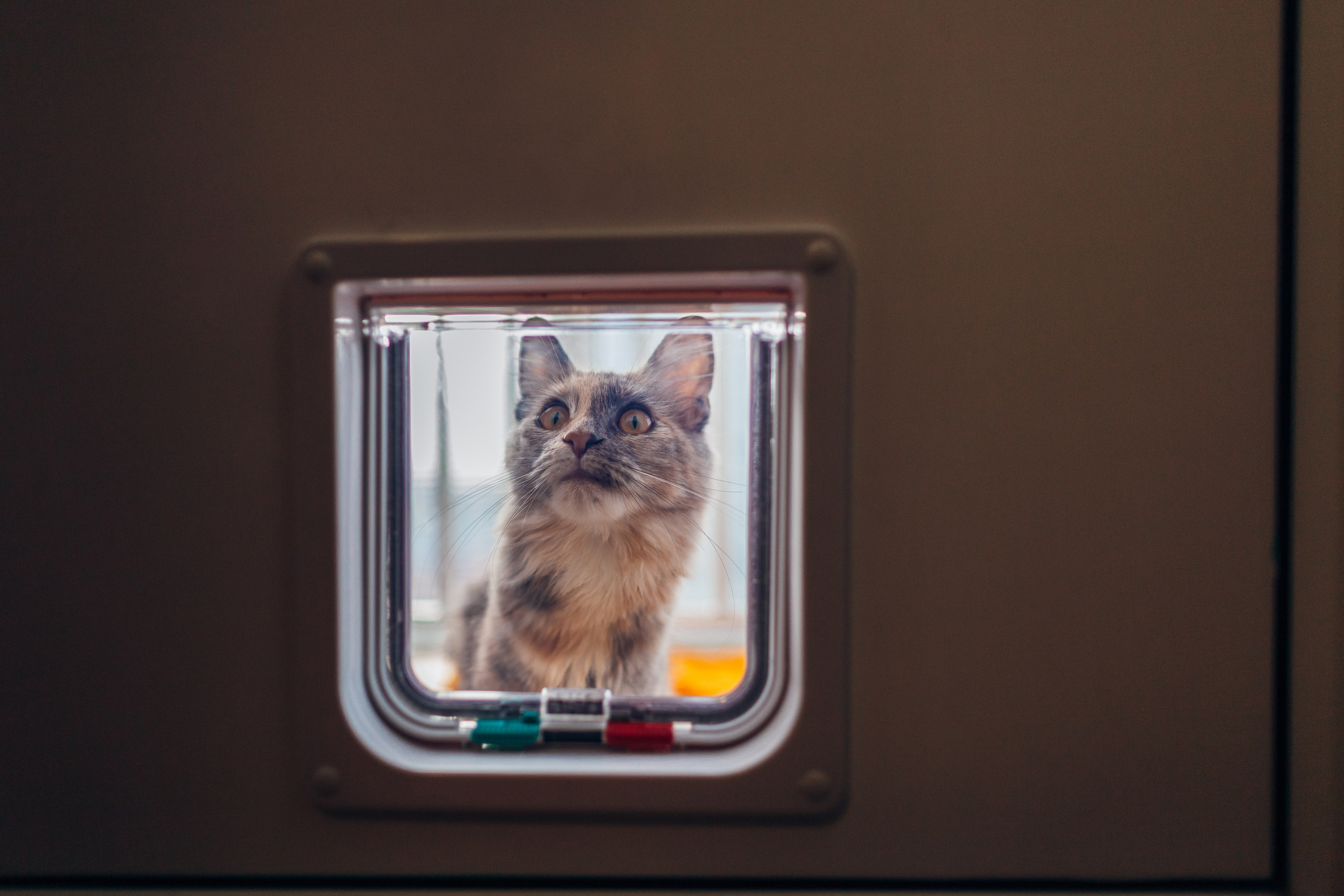 ***. Фотограф Денис Денисов