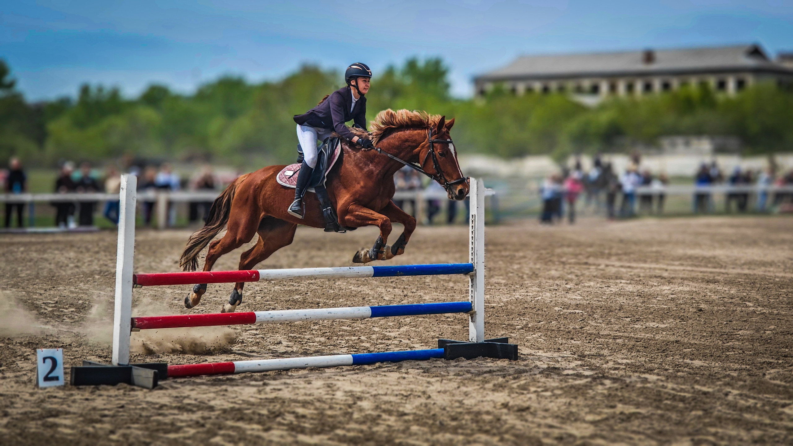 Красноярский ипподром. Открытие сезона 2025. Игорь Урывский. Фотограф Красноярск