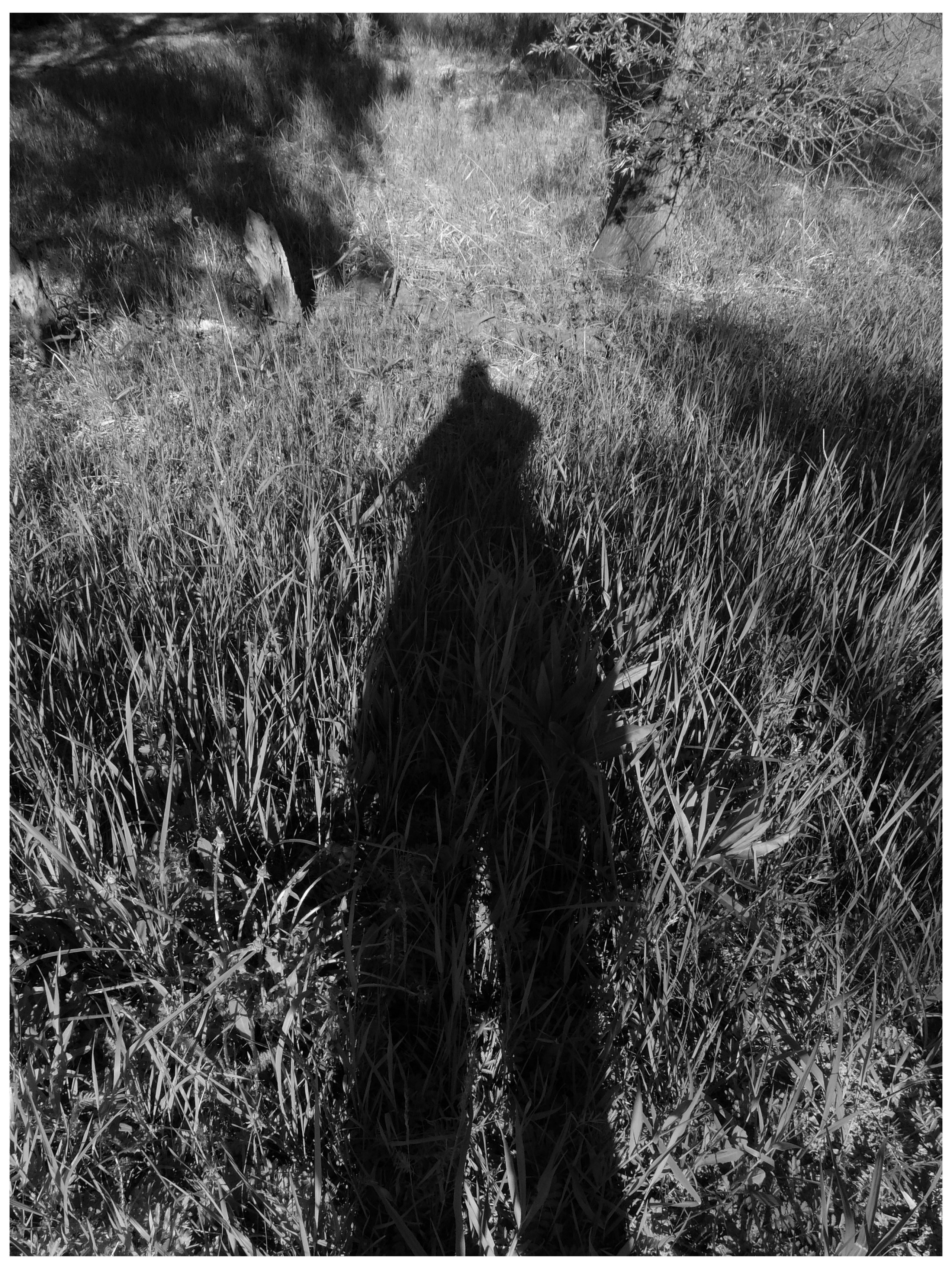 Промежуточные моменты (2022)