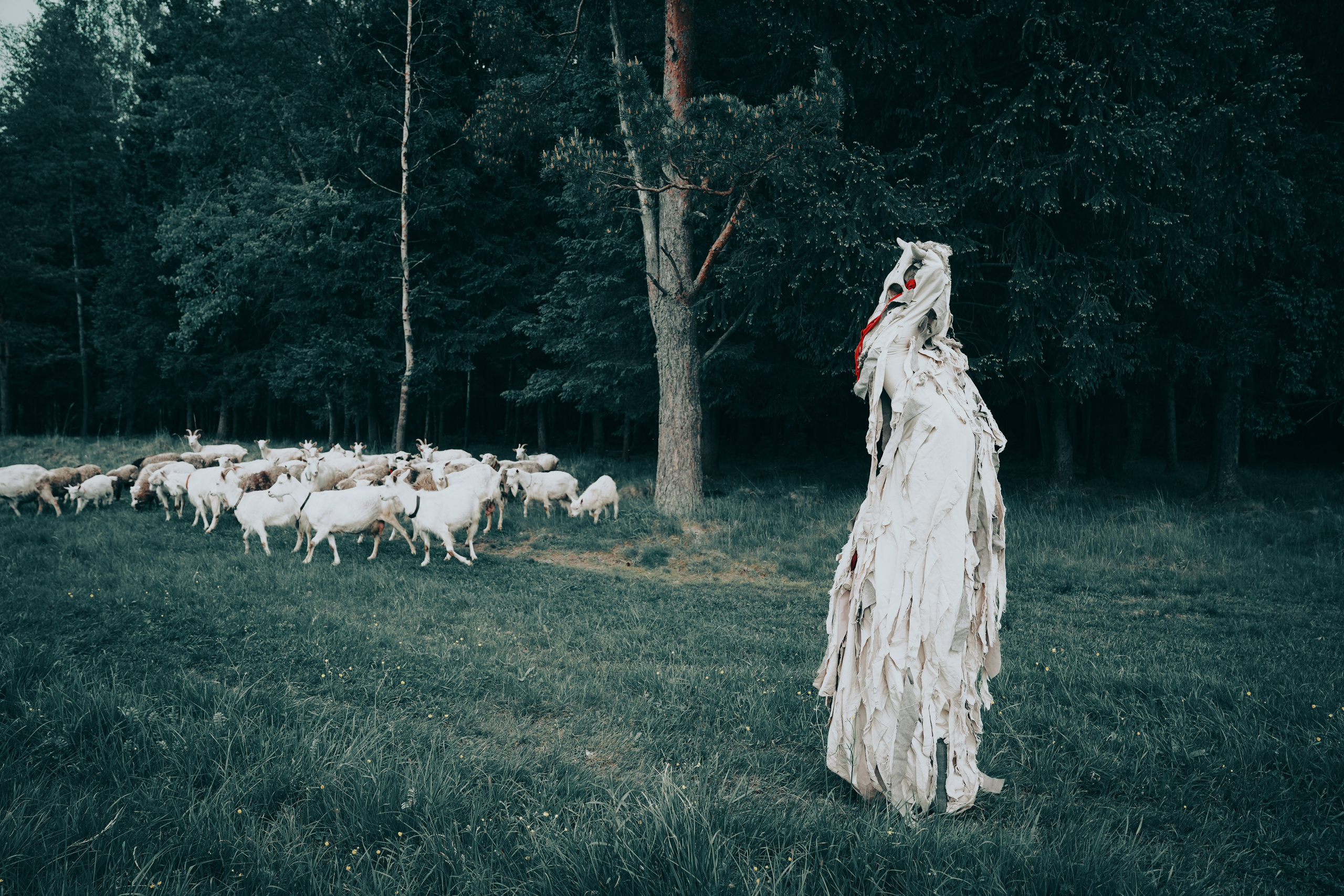 Театр SubRosa *персонажи. Портретный фотограф в Смоленске и Москве Мария Громова