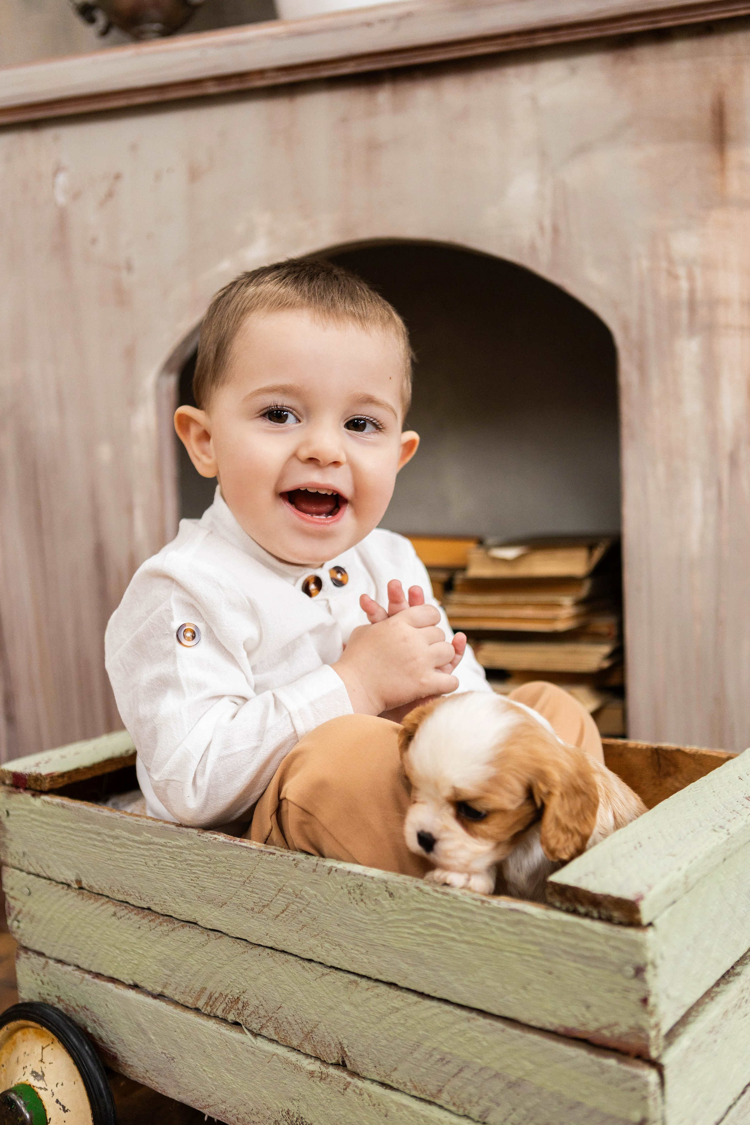 Фотосессия со щенками кавалер кинг чарльз спаниэль. Свадебный семейный и детский фотограф в Краснодаре Карина Федоровская