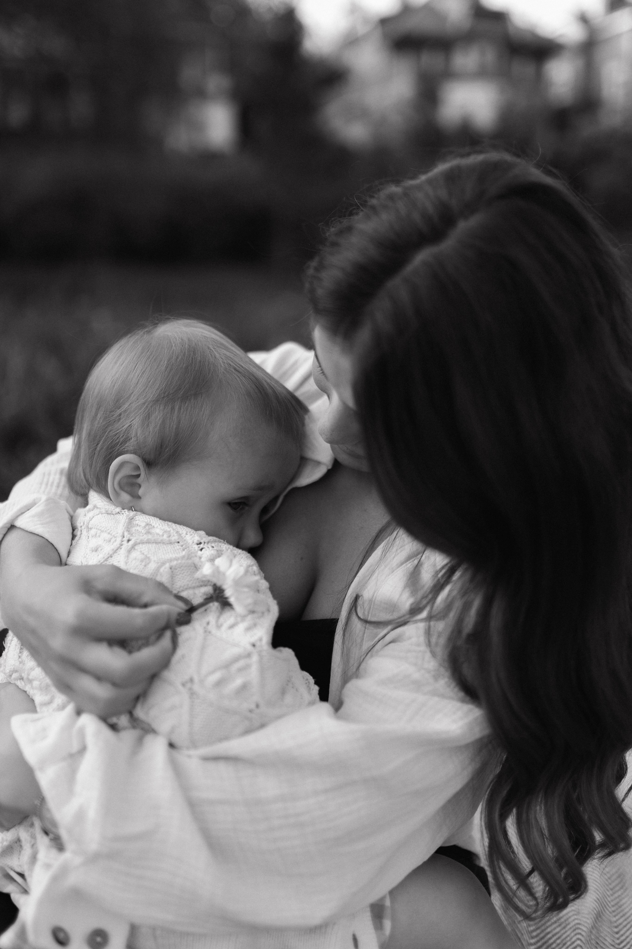 Лола и Софи. Главная