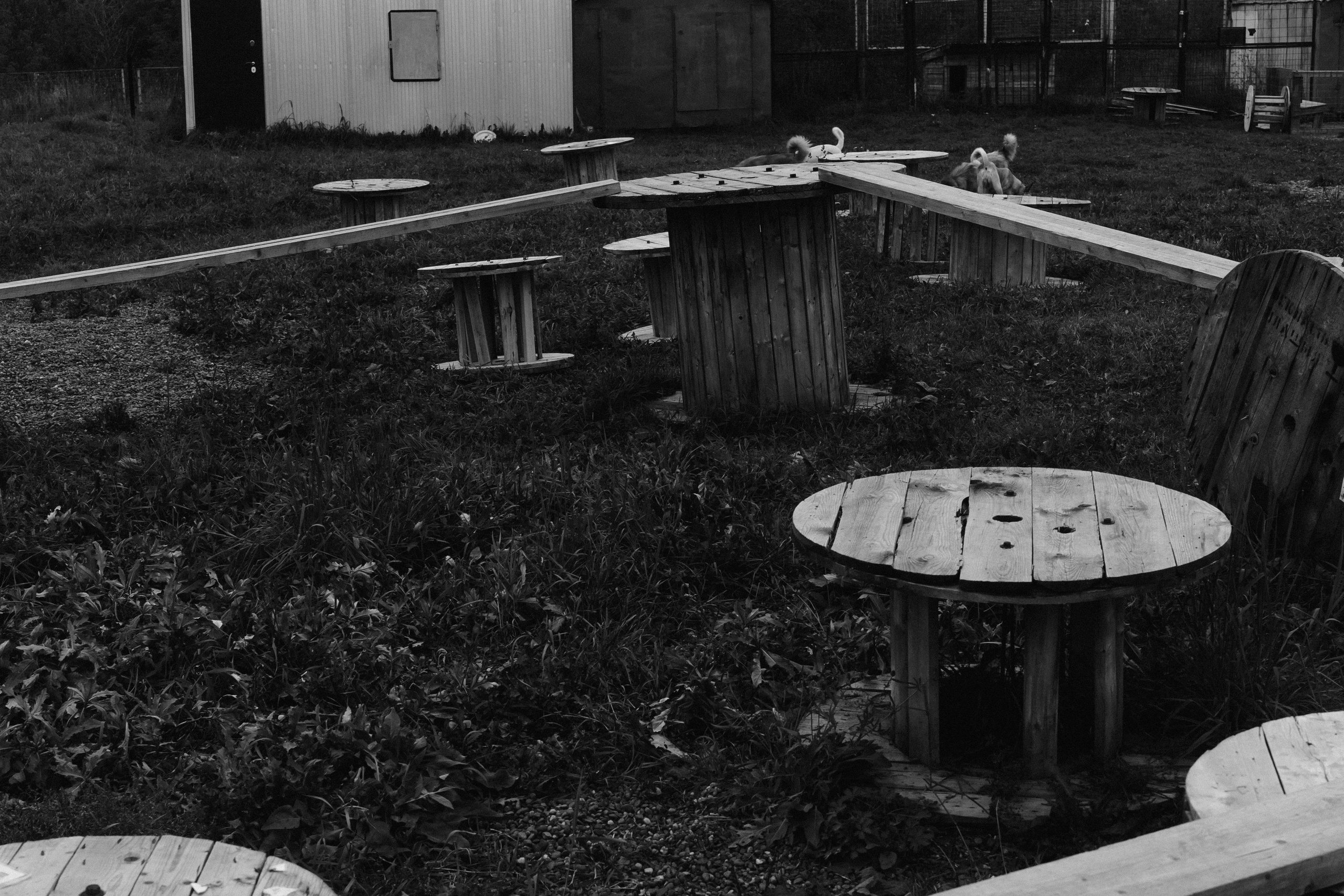 Улица Балтийская. Veronika Popadeikina Photographer