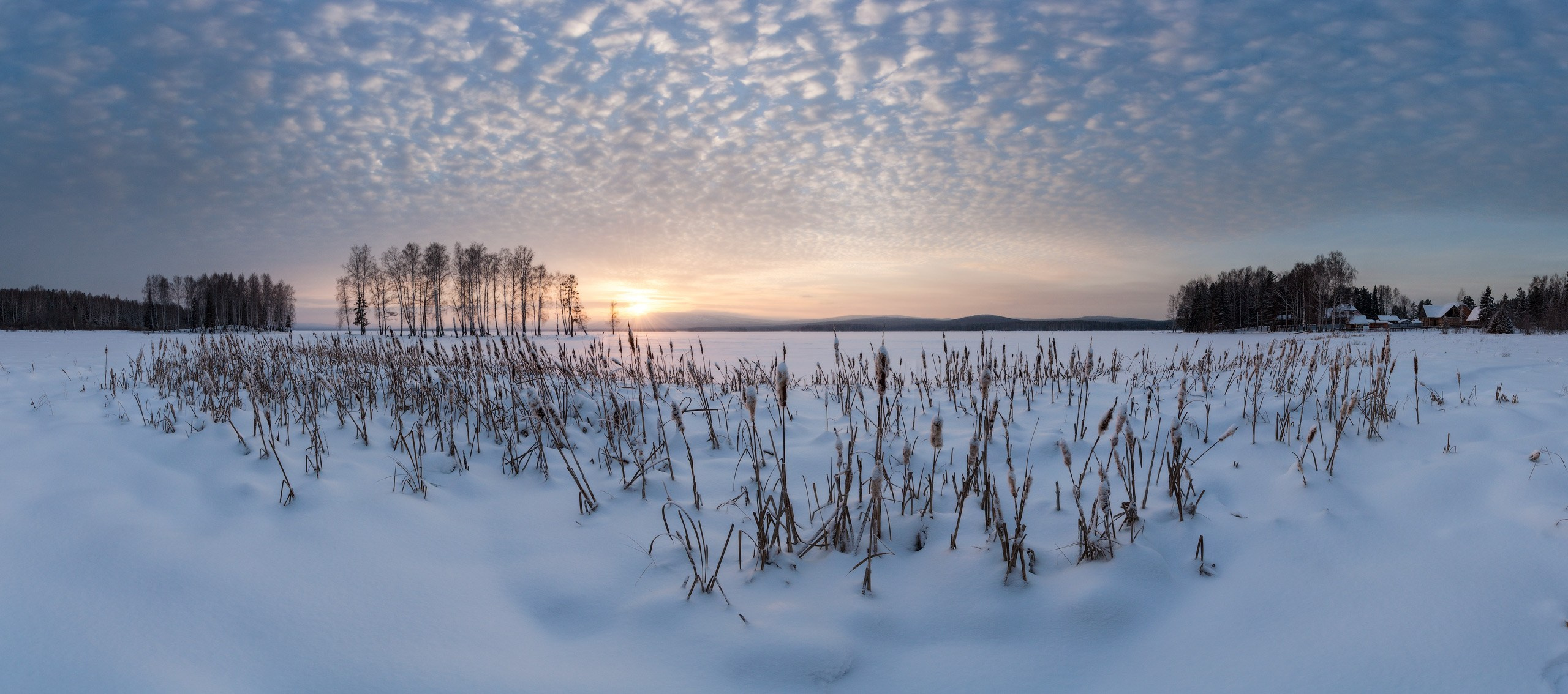 Зимний пейзаж - берег озера, с камышами и небо на закате.