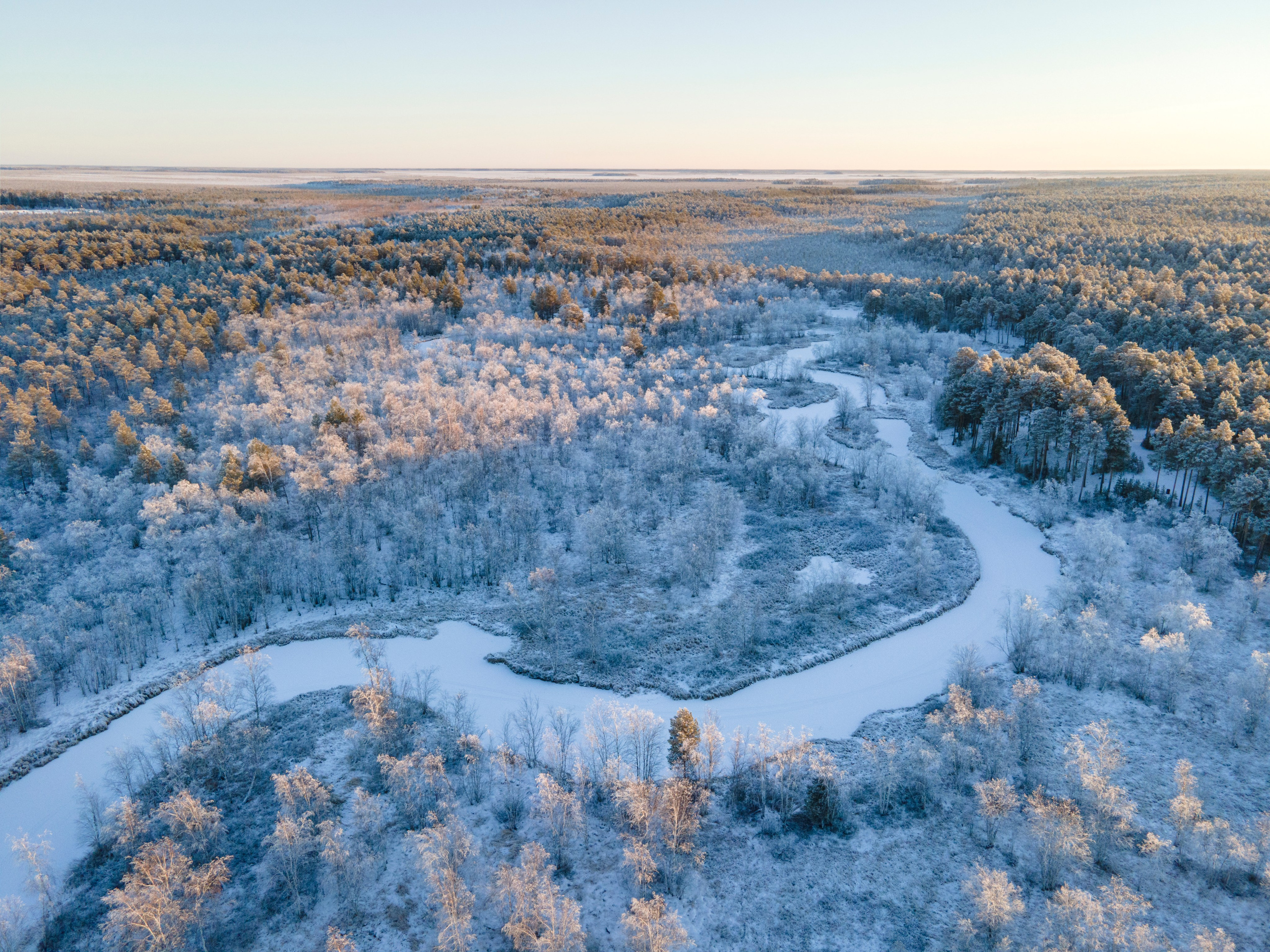 ПРИРОДА С ДРОНА. Фотограф Татьяна Борисова