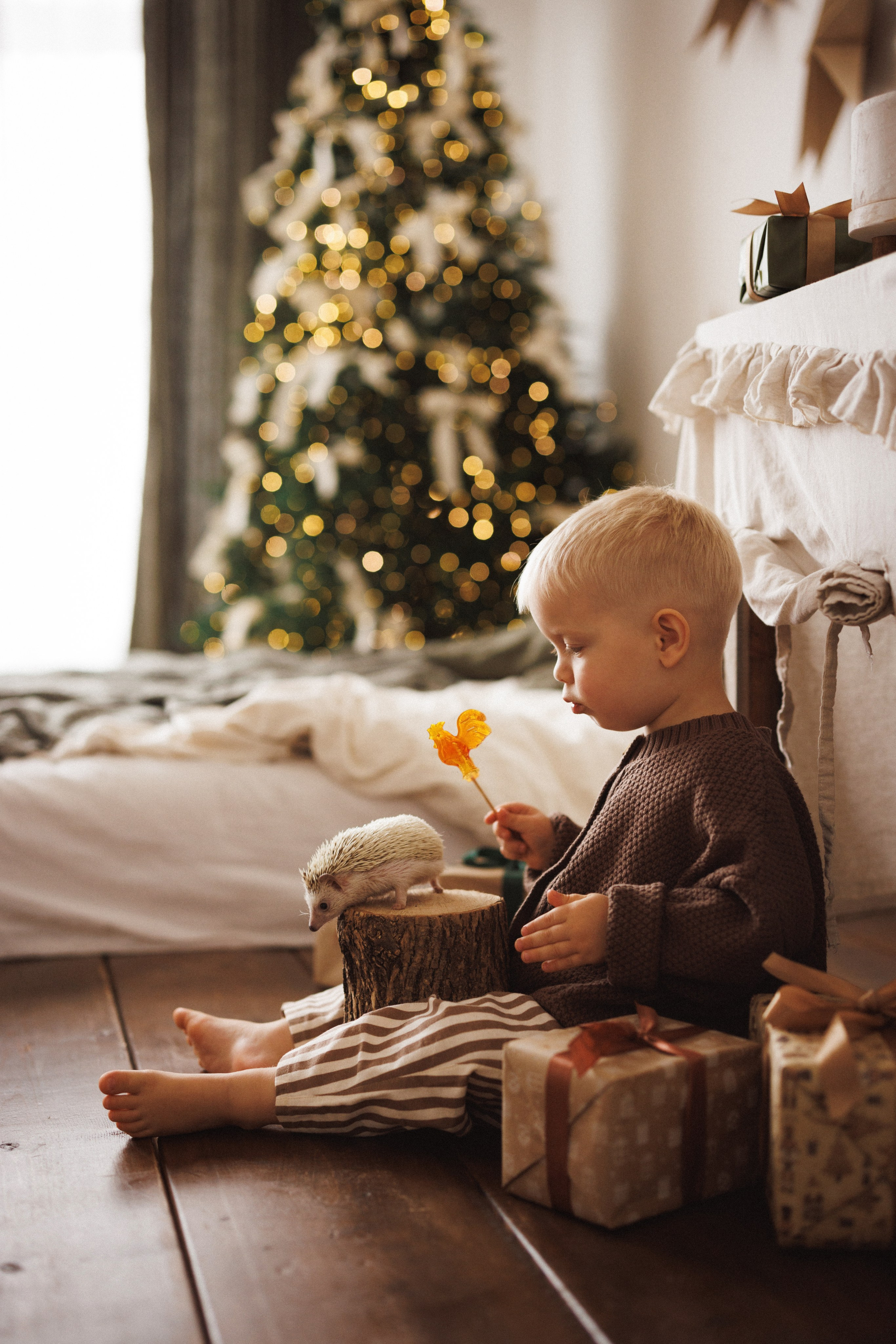 Новогодняя фотосессия в фотостудии «Mestone», город Краснодар. Семейный и детский фотограф в Краснодаре Анна Трашкова