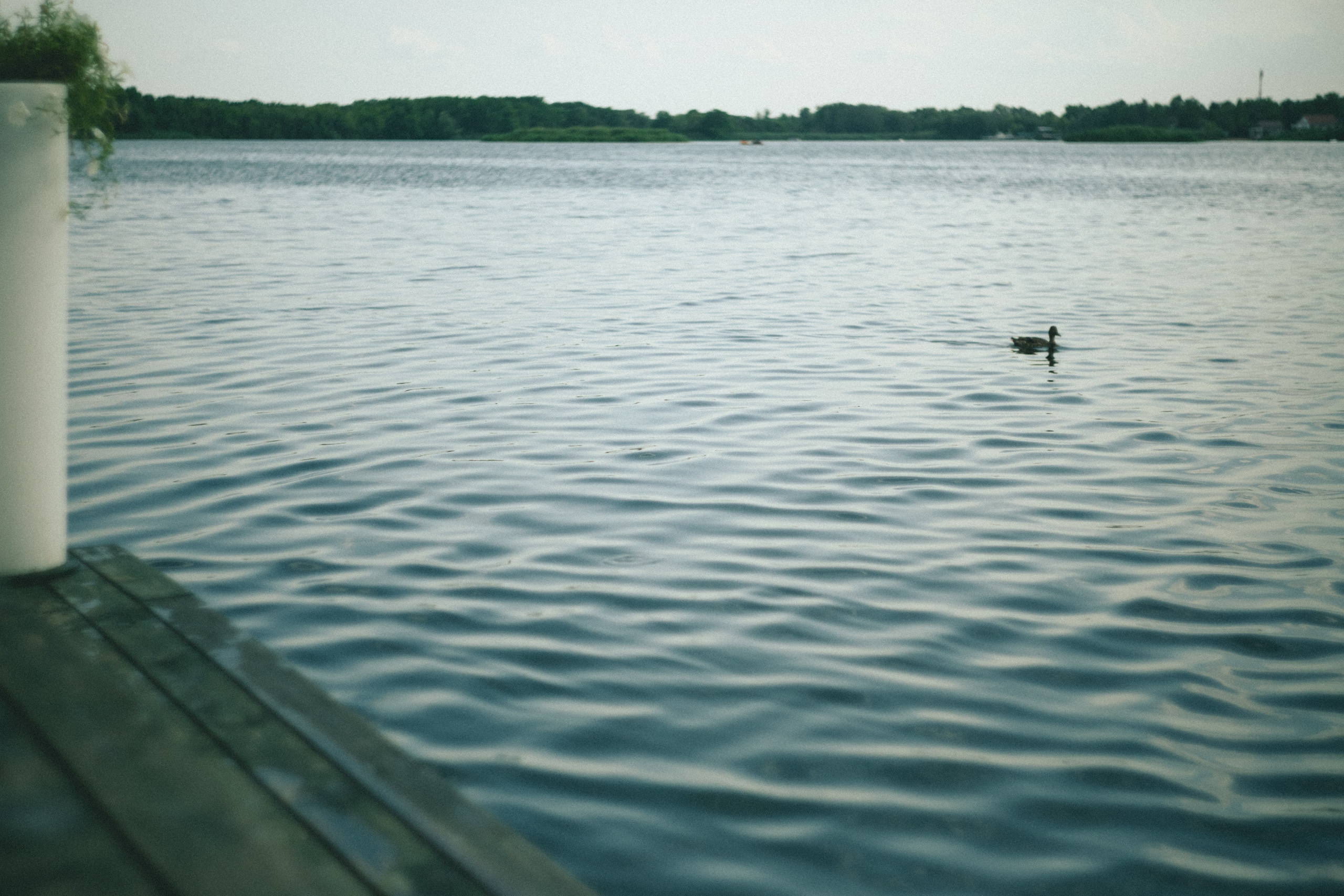 День фотографа, 15.07.25. Портретный и семейный фотограф Наталия Гаврилина, Саратов — Москва