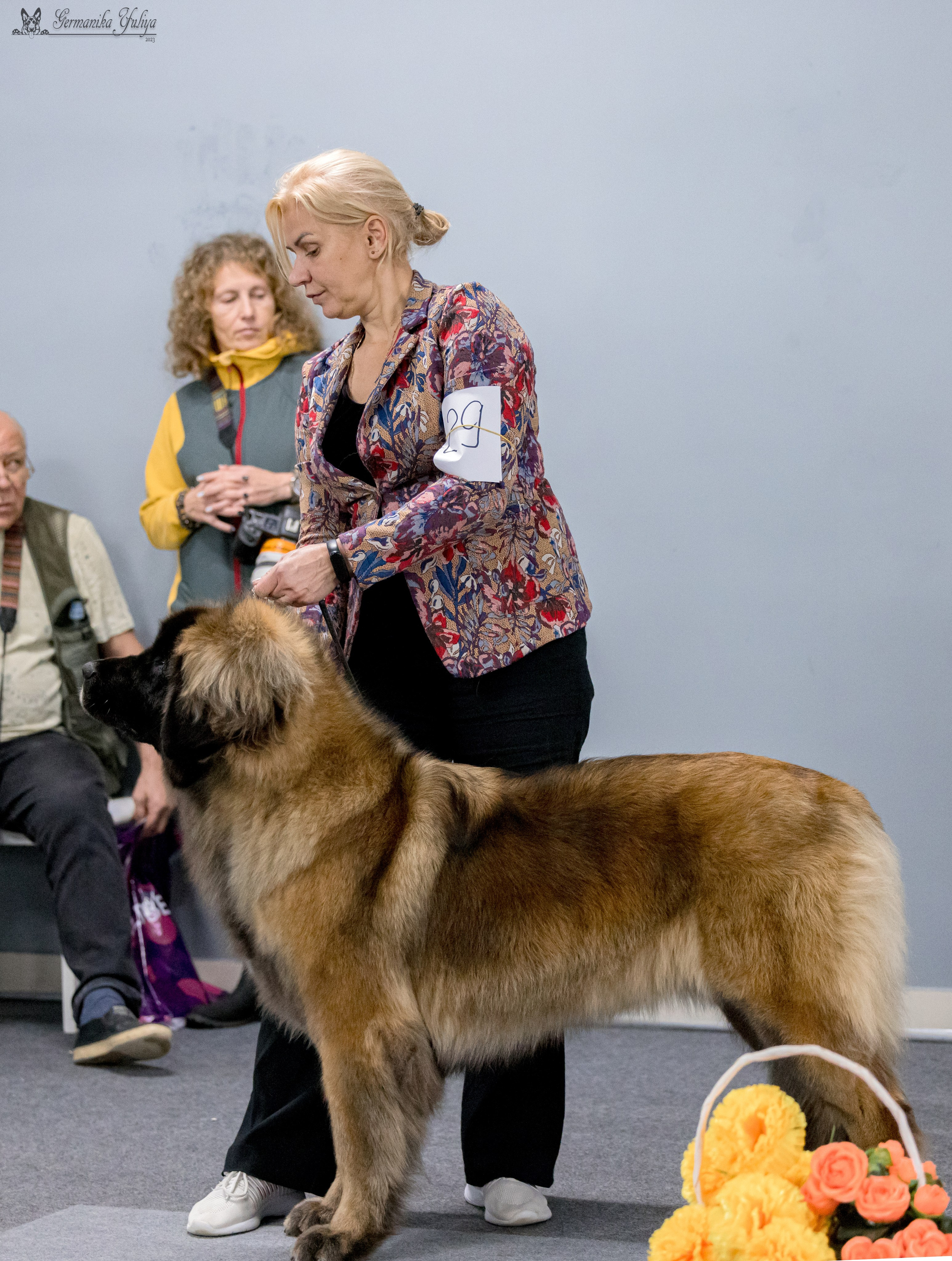 Сфера 29.10,Крокус 4.11,Сфера 12.11.2023. Фотограф-анималист Юлия Германика