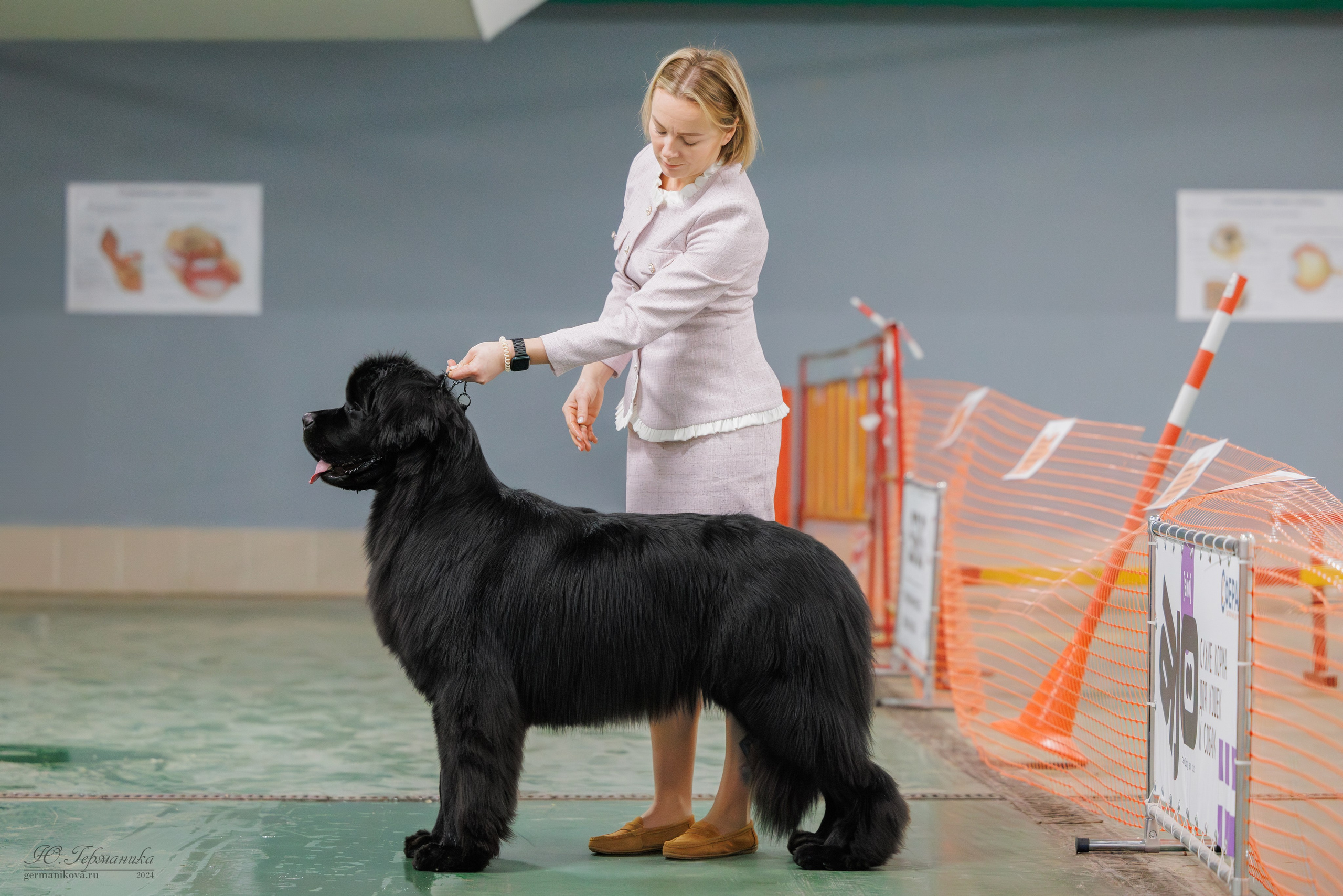 Сфера и Крокус 8,9,16 и 30.03.2025. Фотограф-анималист Юлия Германика