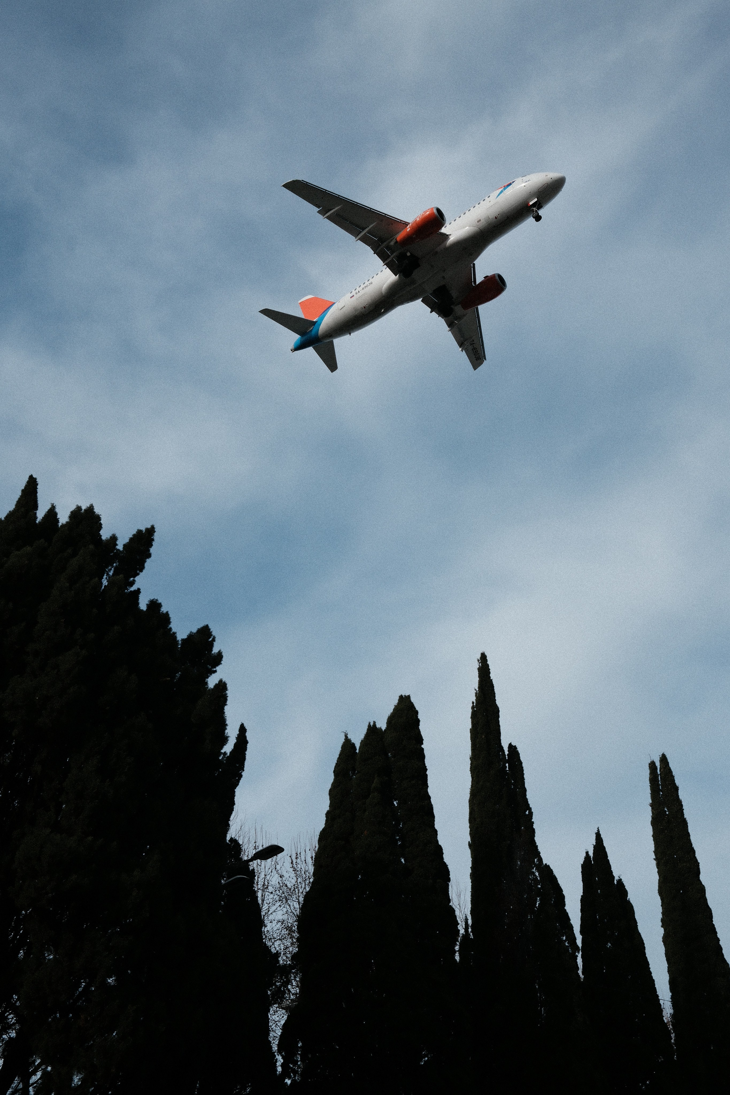 Фотографии зимнего Адлера. Алексей Торопов фотограф