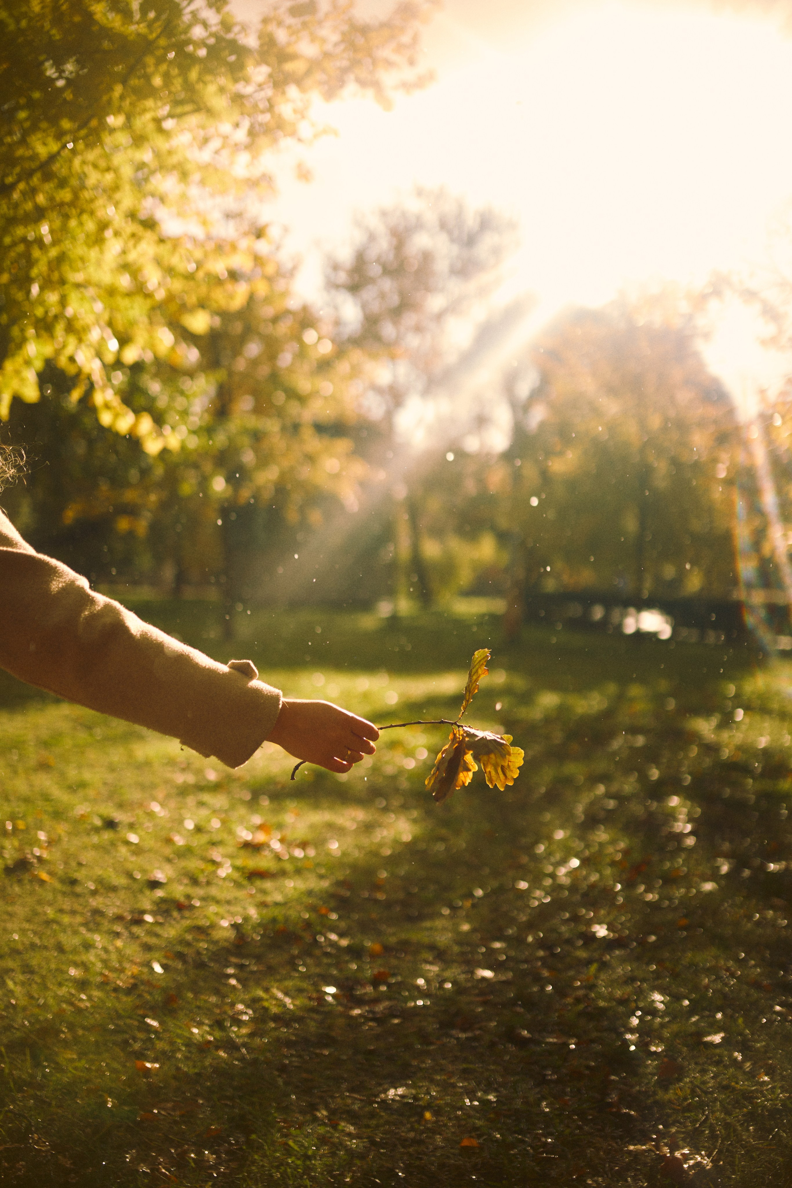 Семейный Петербург. Фотограф Ионова Анастасия, г Владивосток