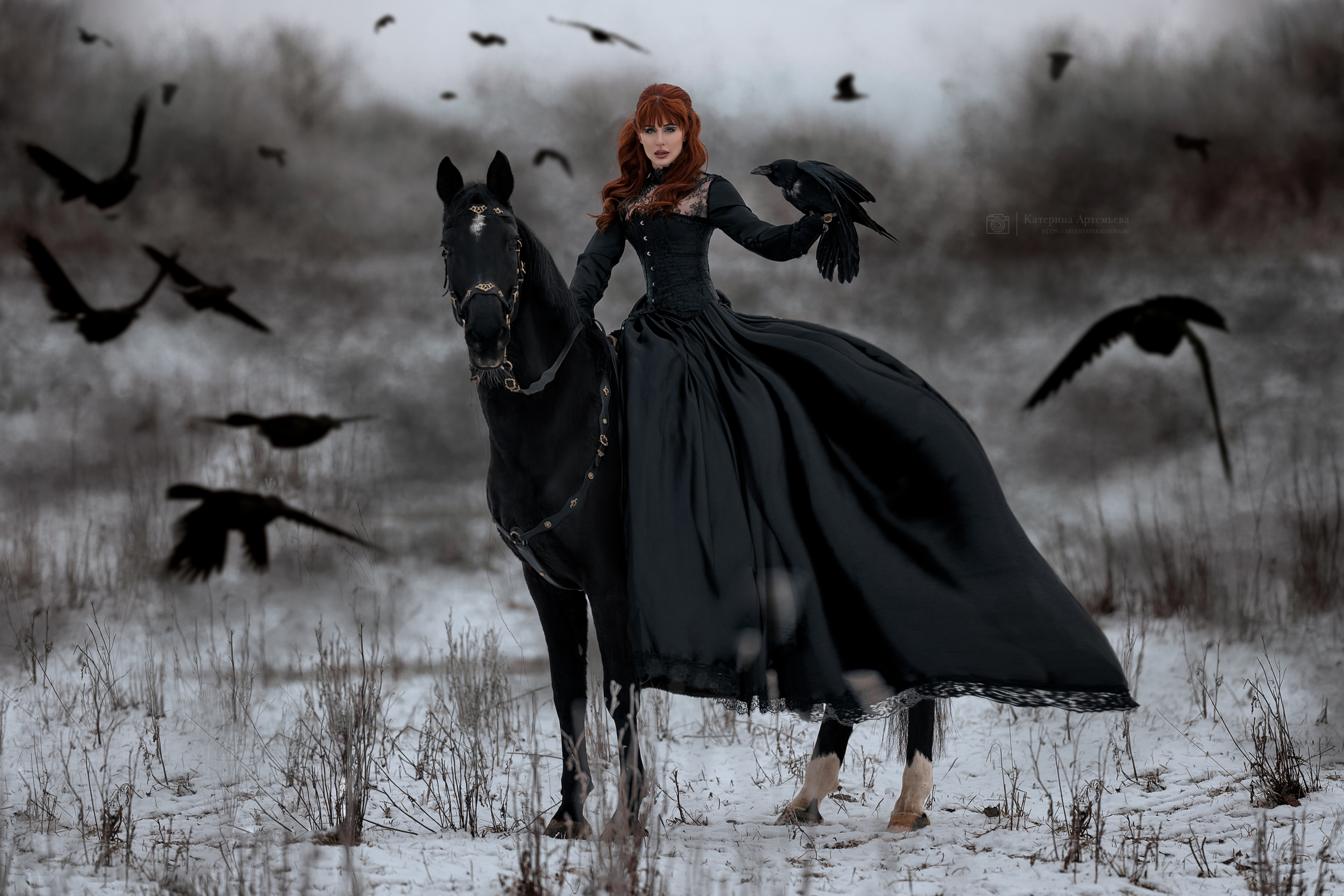 Фотограф Артемьева Катерина|фотосессии с лошадьми