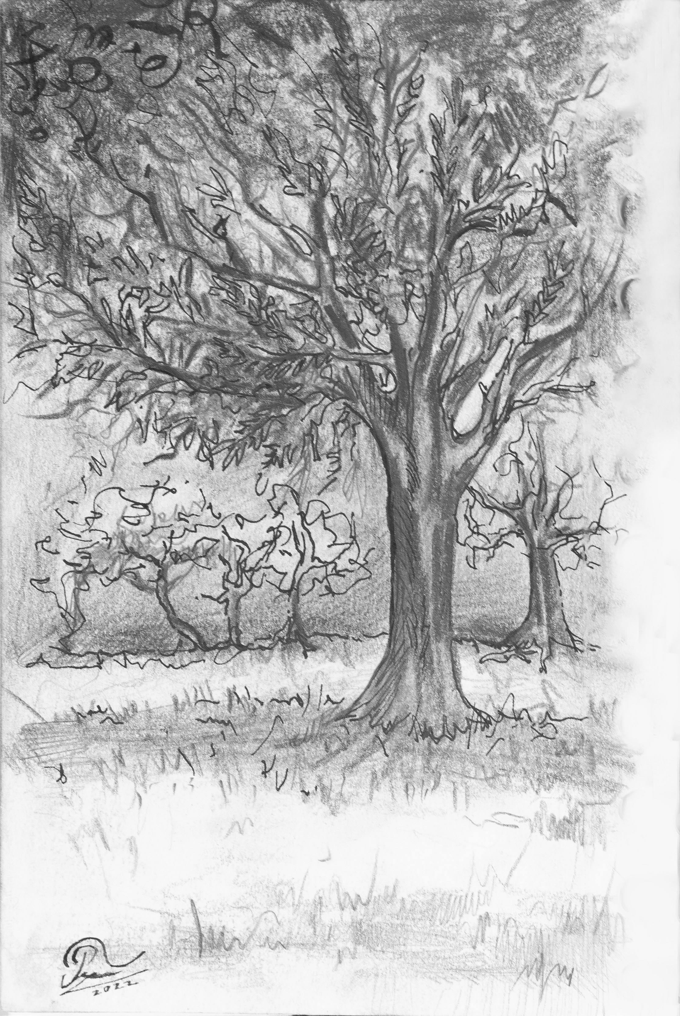 Графика. Художница Маргарита Гусак