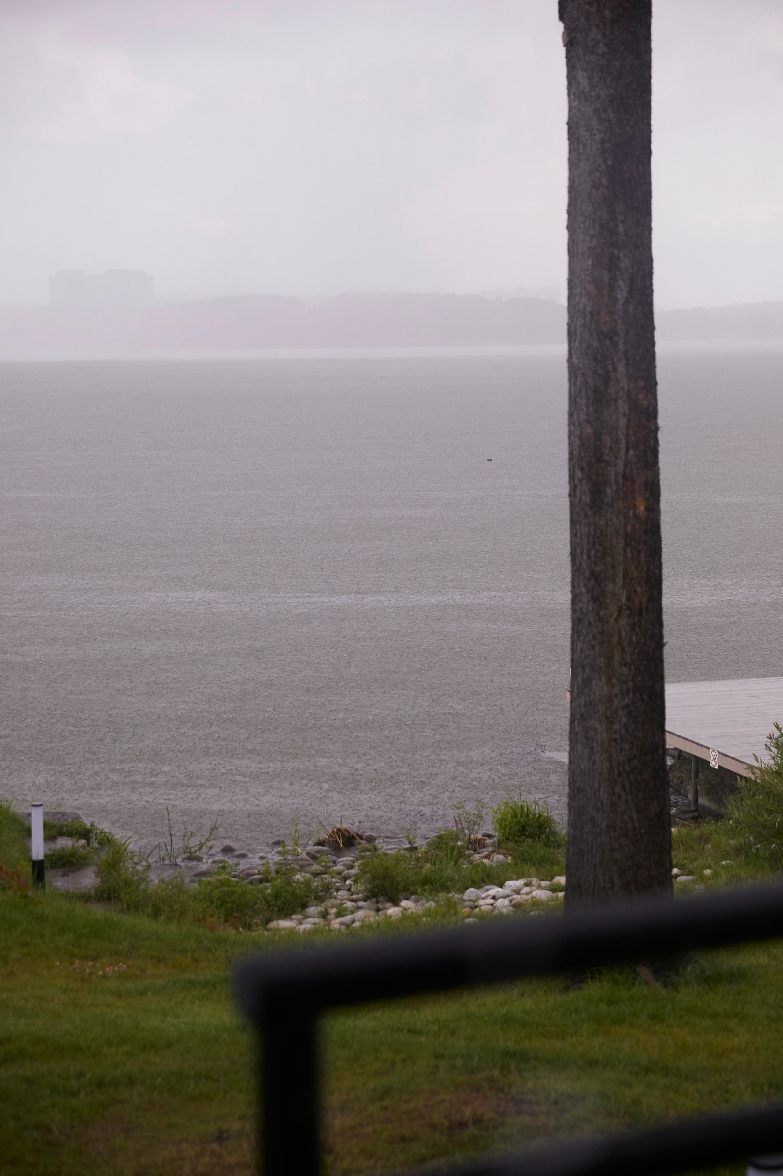 Denis & Elvira | Russia, Moscow region. Свадебный фотограф