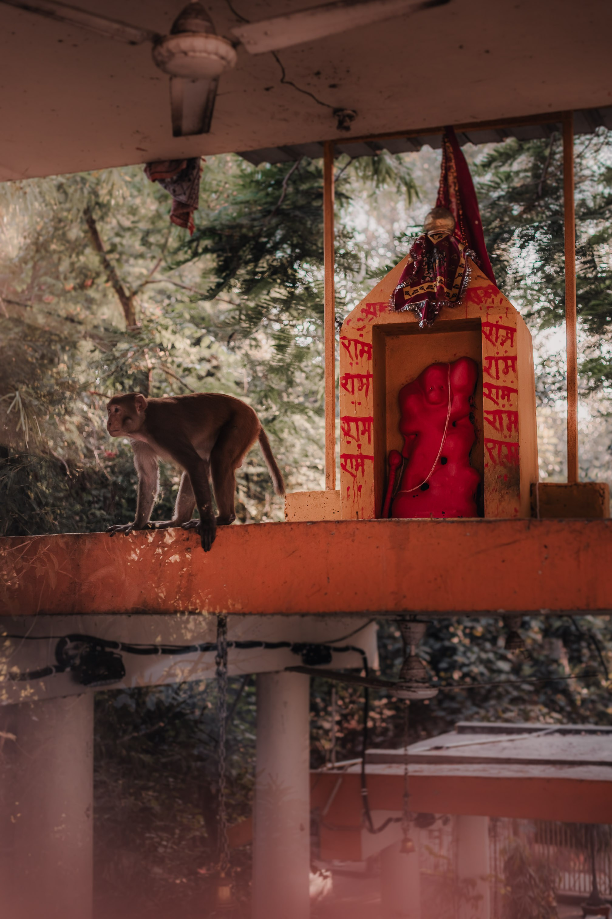 Devraha Baba Ji Ashram in Vrindavan. Мариам Багдасарян