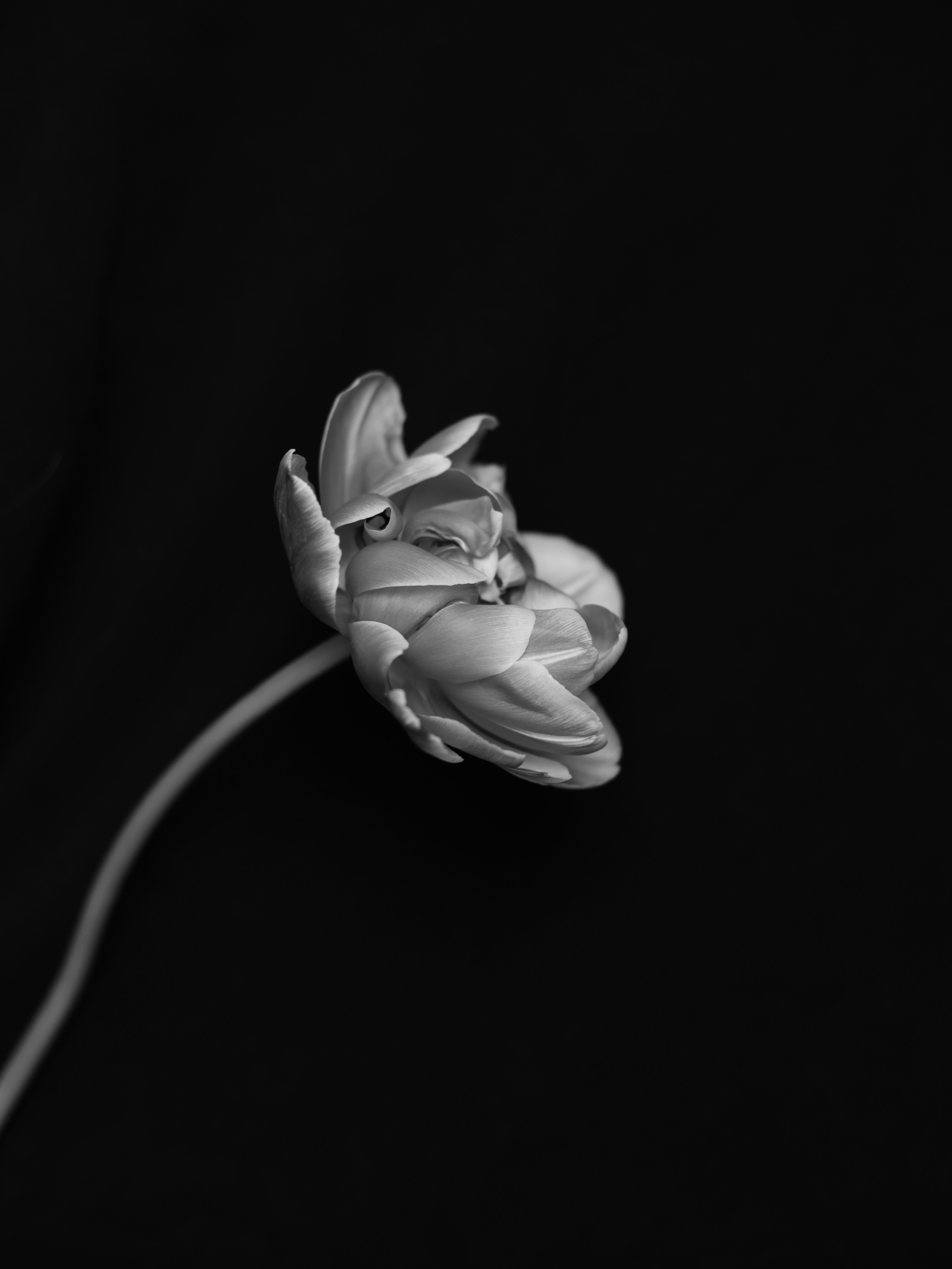 Photographer Tanya Haurylenka