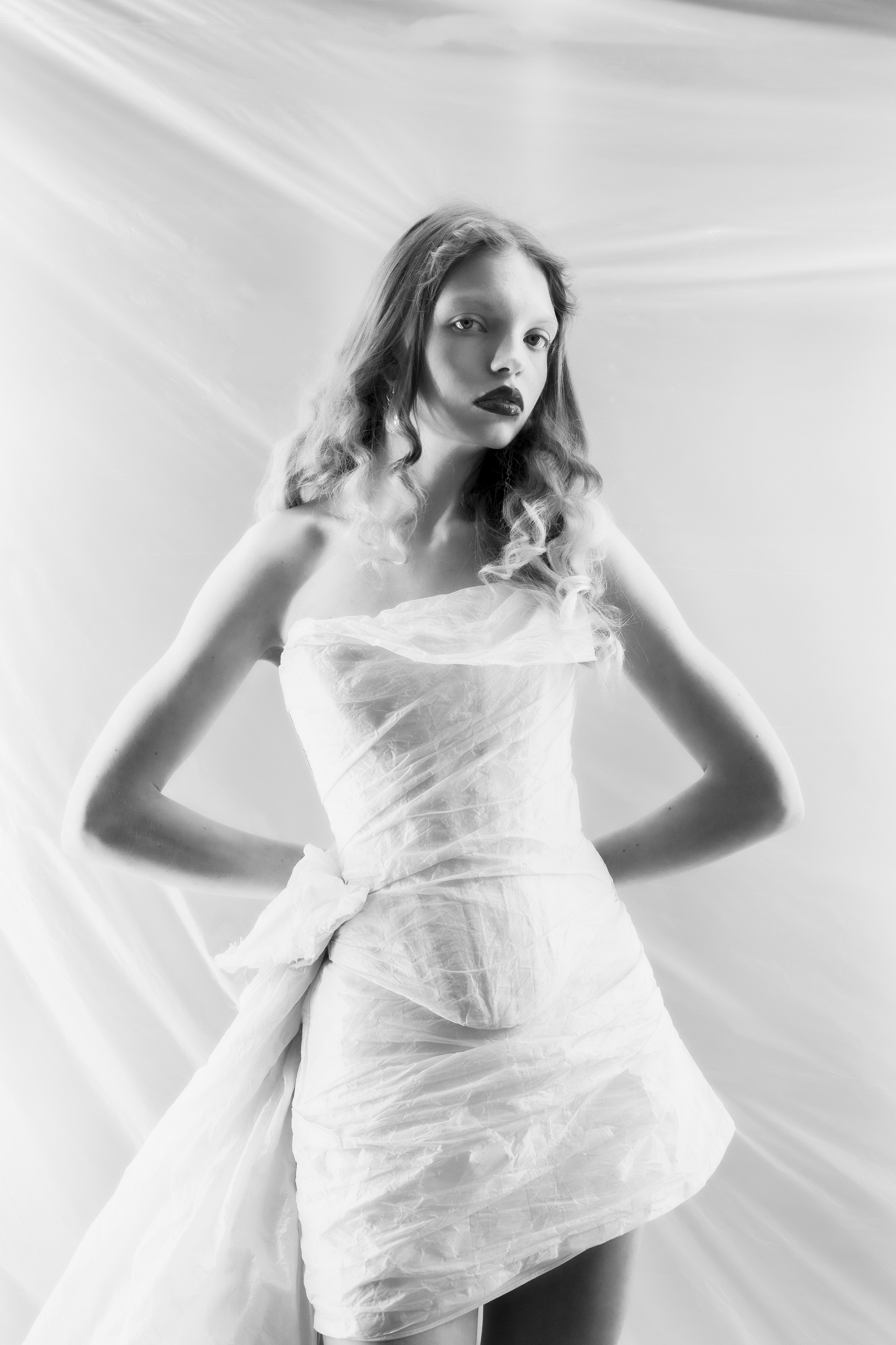 Студийная фотосъёмка. Photomantis