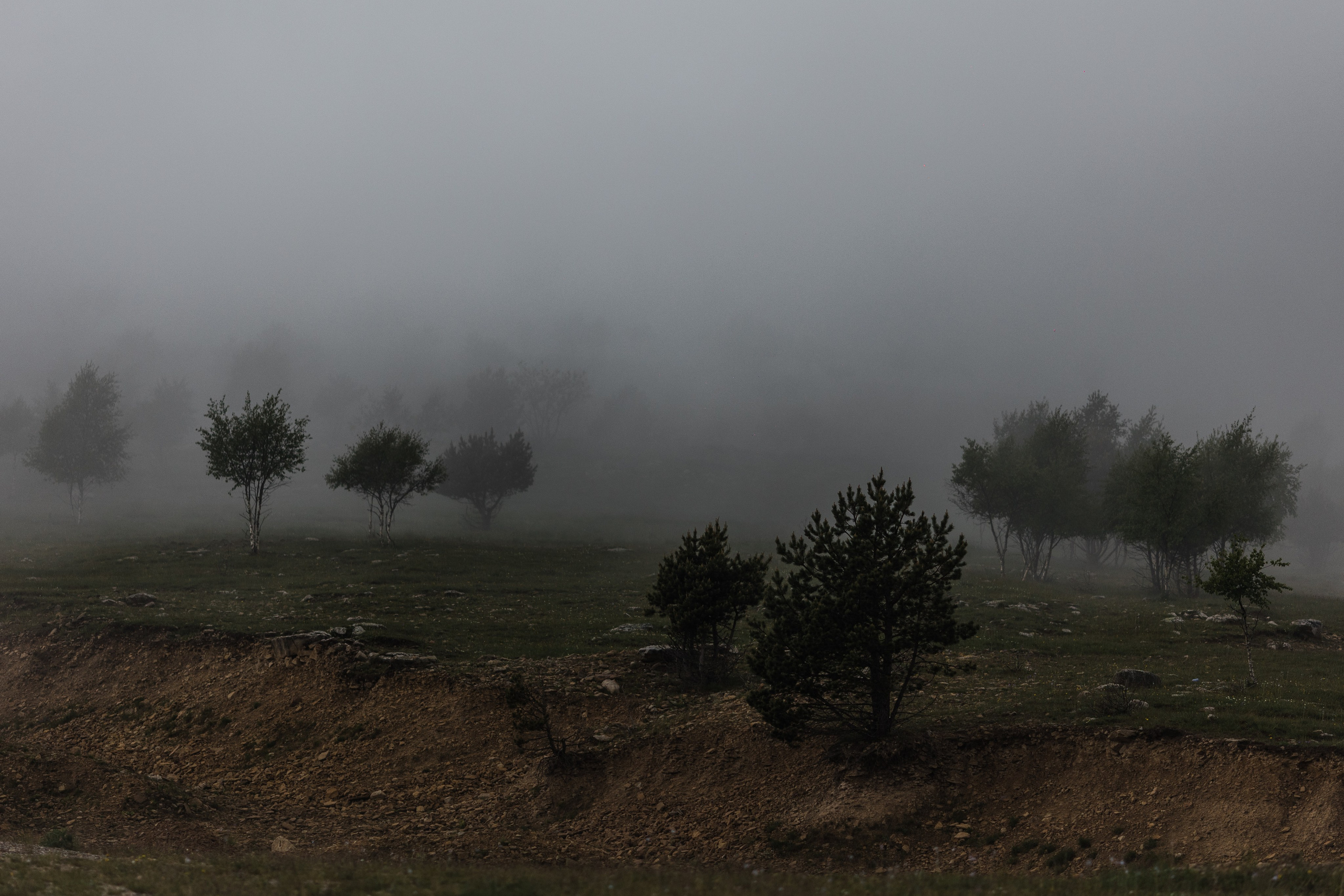 Elbrus. Свадебный и семейный фотограф в Краснодаре Роман Моско