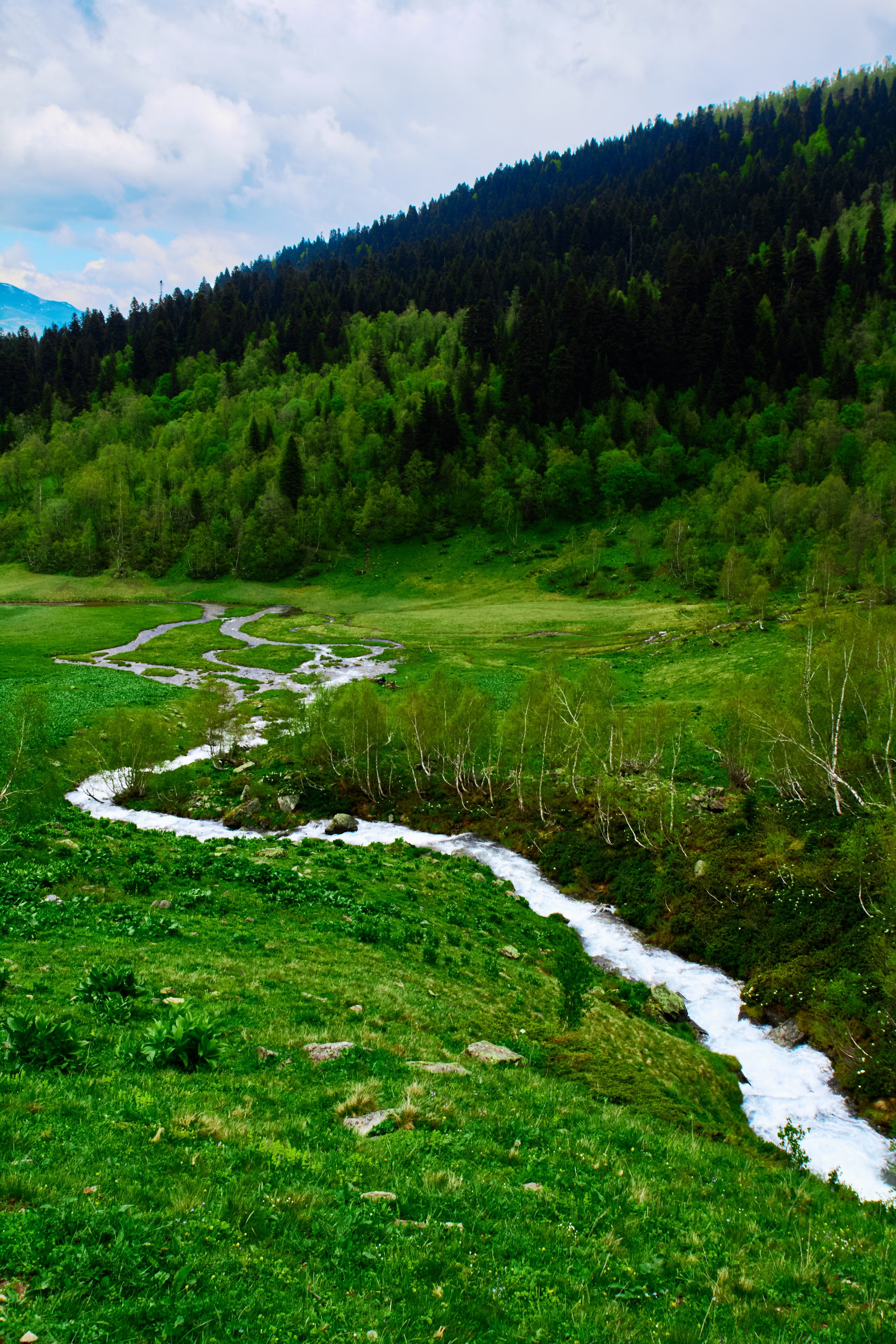 Пейзаж. Репортажный фотограф | Леонид Черков