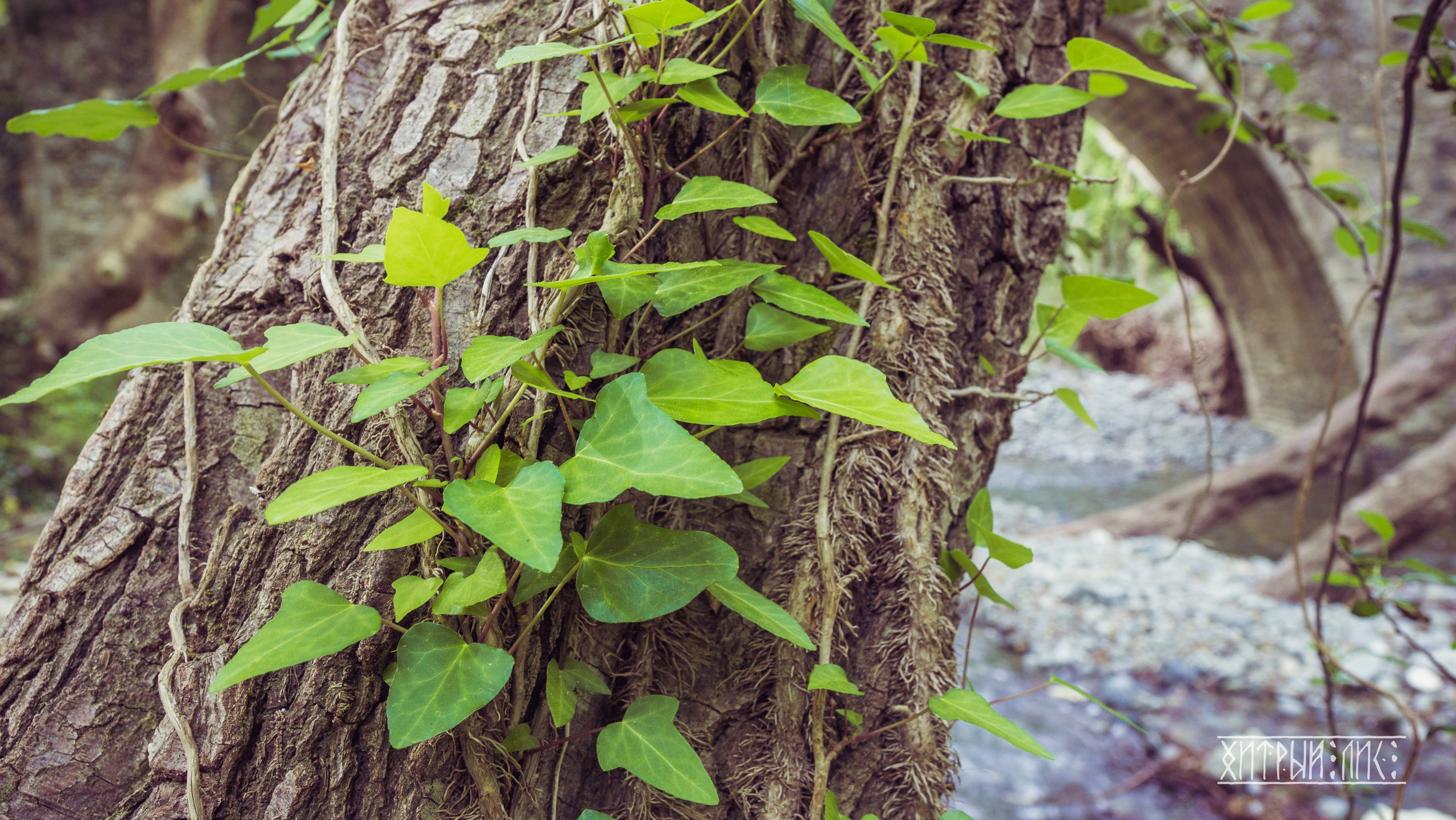 Кипр. Фотограф-путешественник Самойлов Максим «Sly Fox»