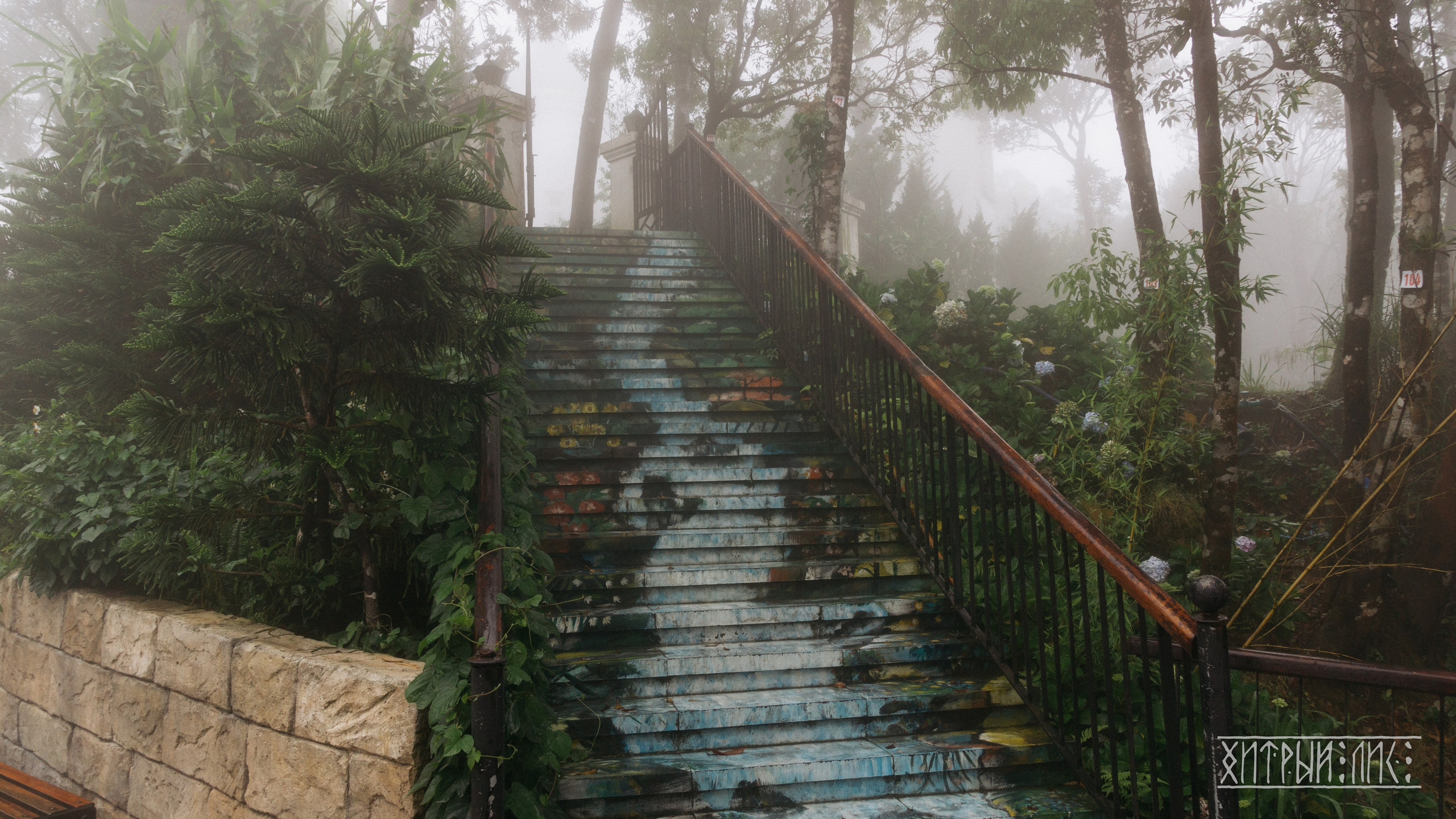 Вьетнам. Фотограф-путешественник Самойлов Максим «Sly Fox»