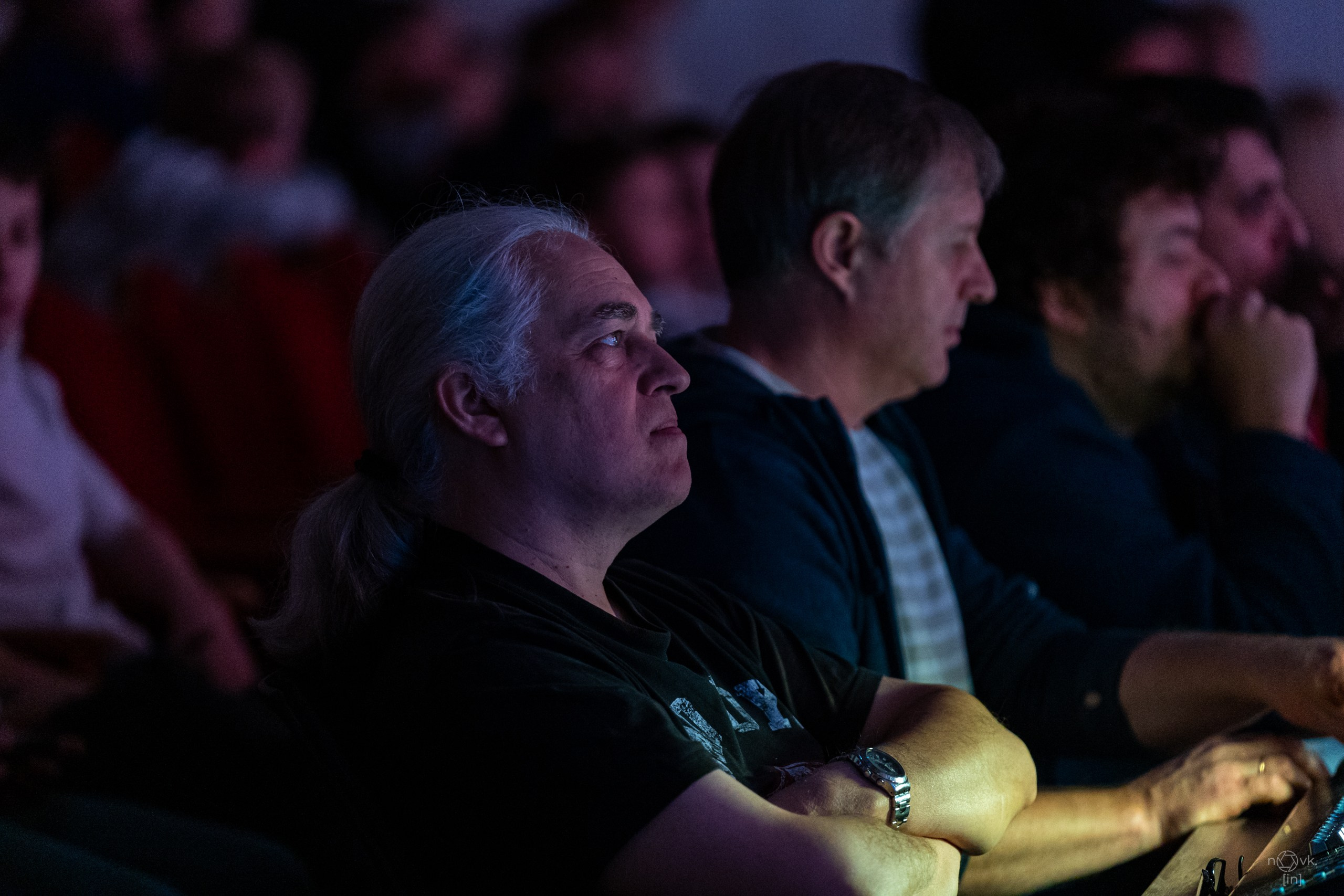 Ёлка. ФОТОГРАФ ИВАН НОВИКОВ | СТАВРОПОЛЬ