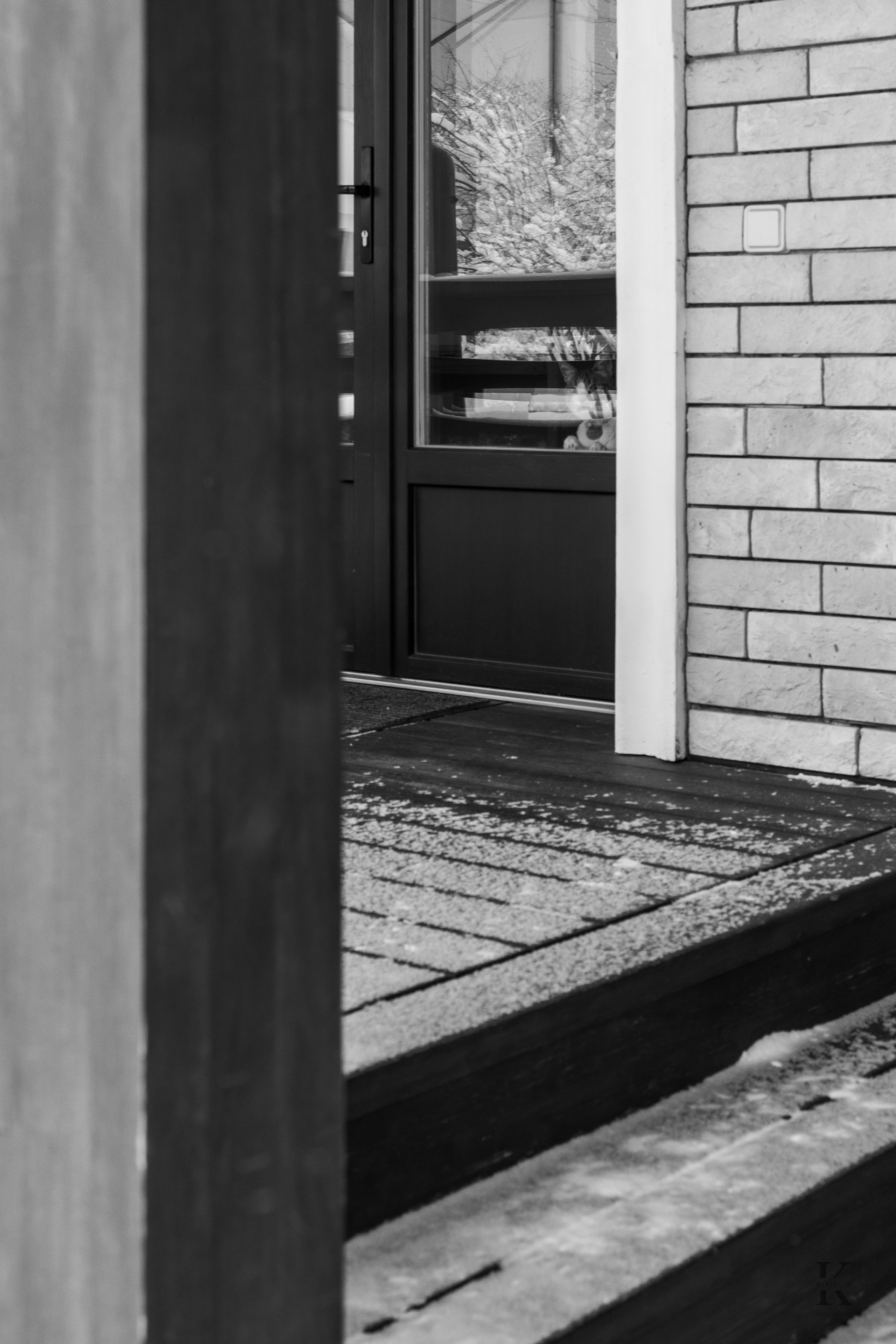 Природа 31 Декабря 2025 года. Клены. Фотографирую жизнь! Московский фотограф волонтер