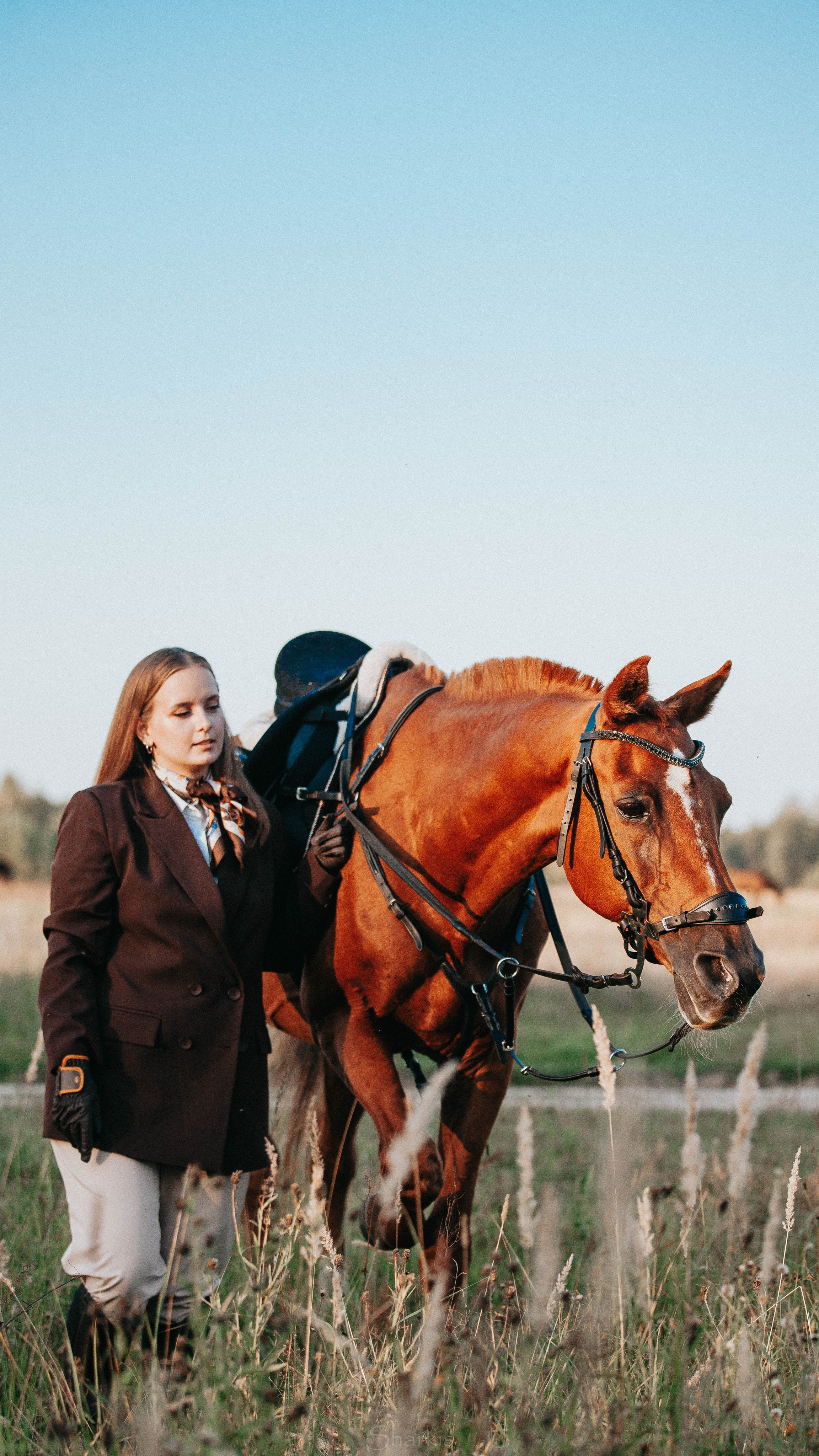 Аня и Гас. Главная