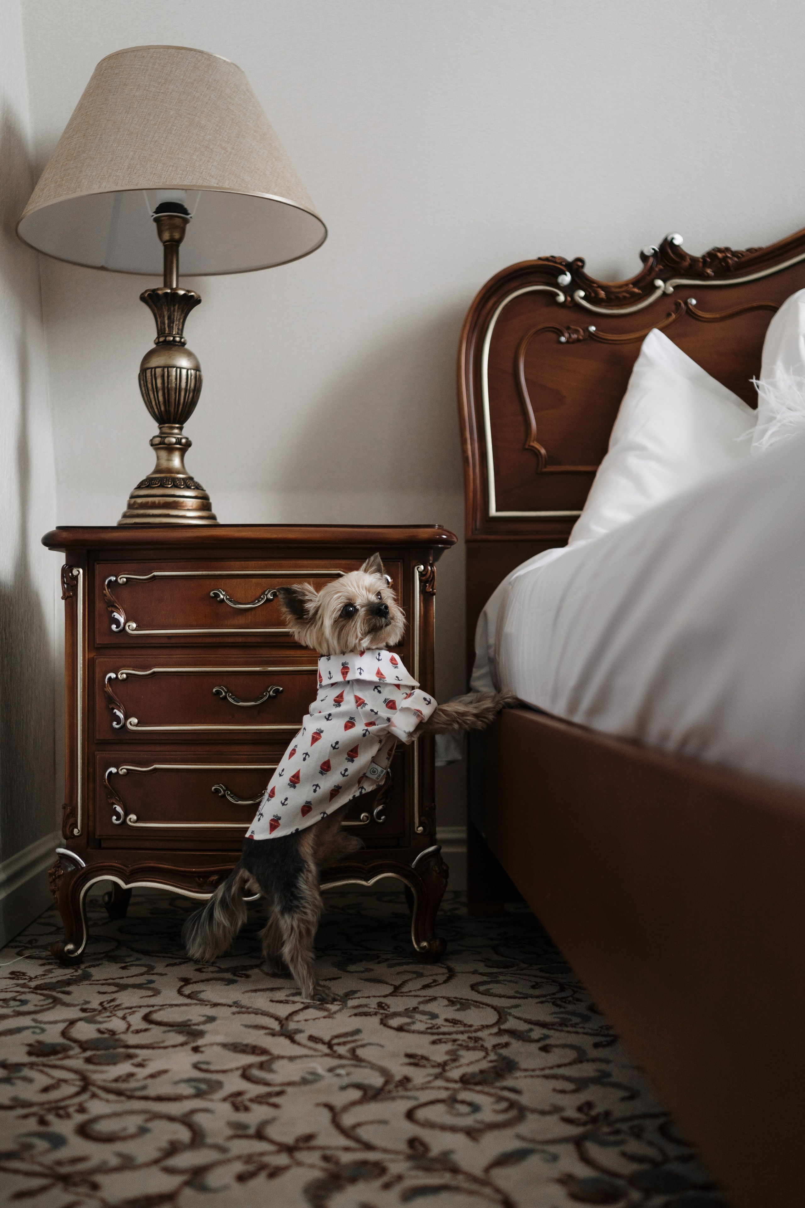 Вероника Александр. Свадебный и портретный фотограф Алена Седининна в Крыму