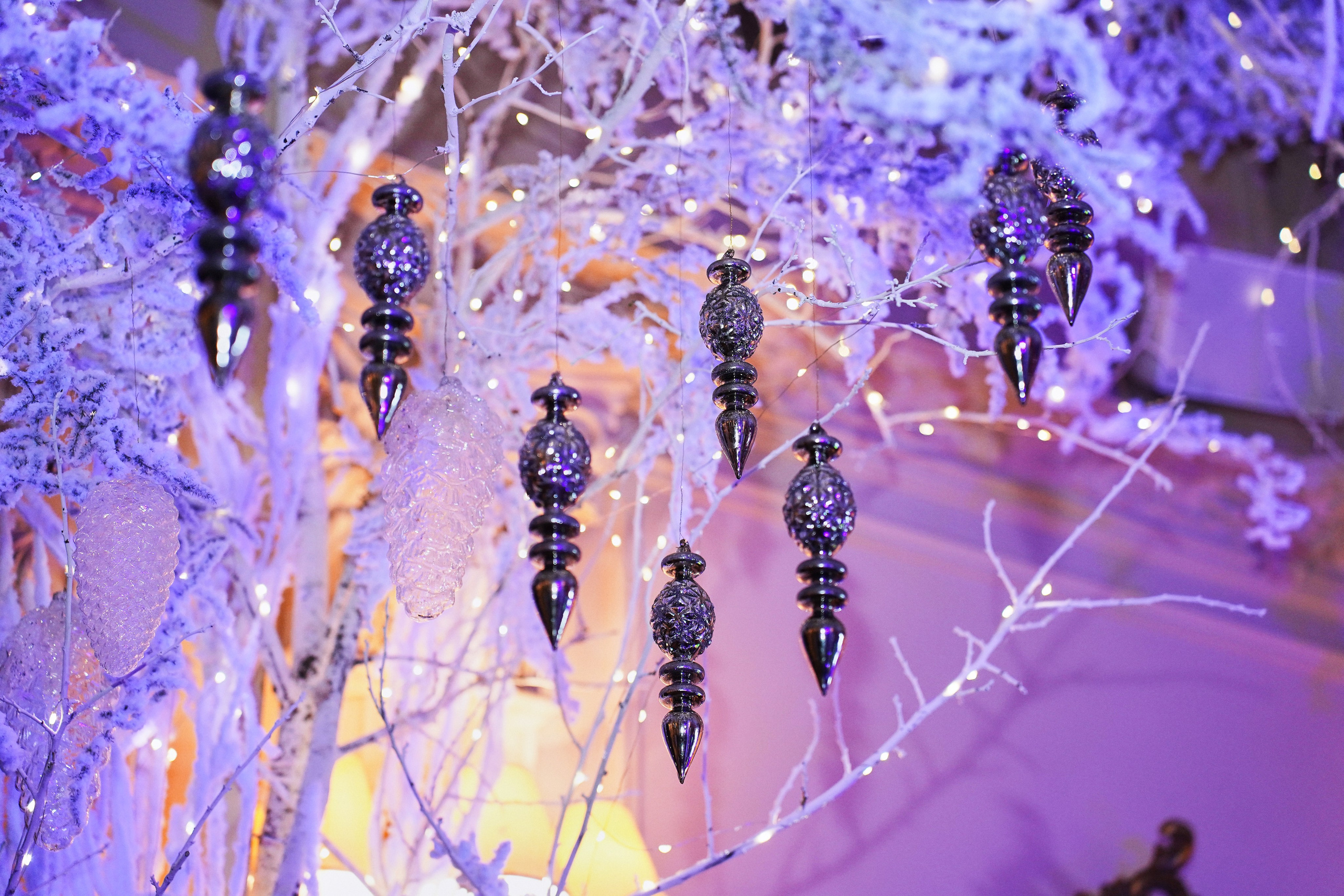 День Рождения 11 лет. Фотограф