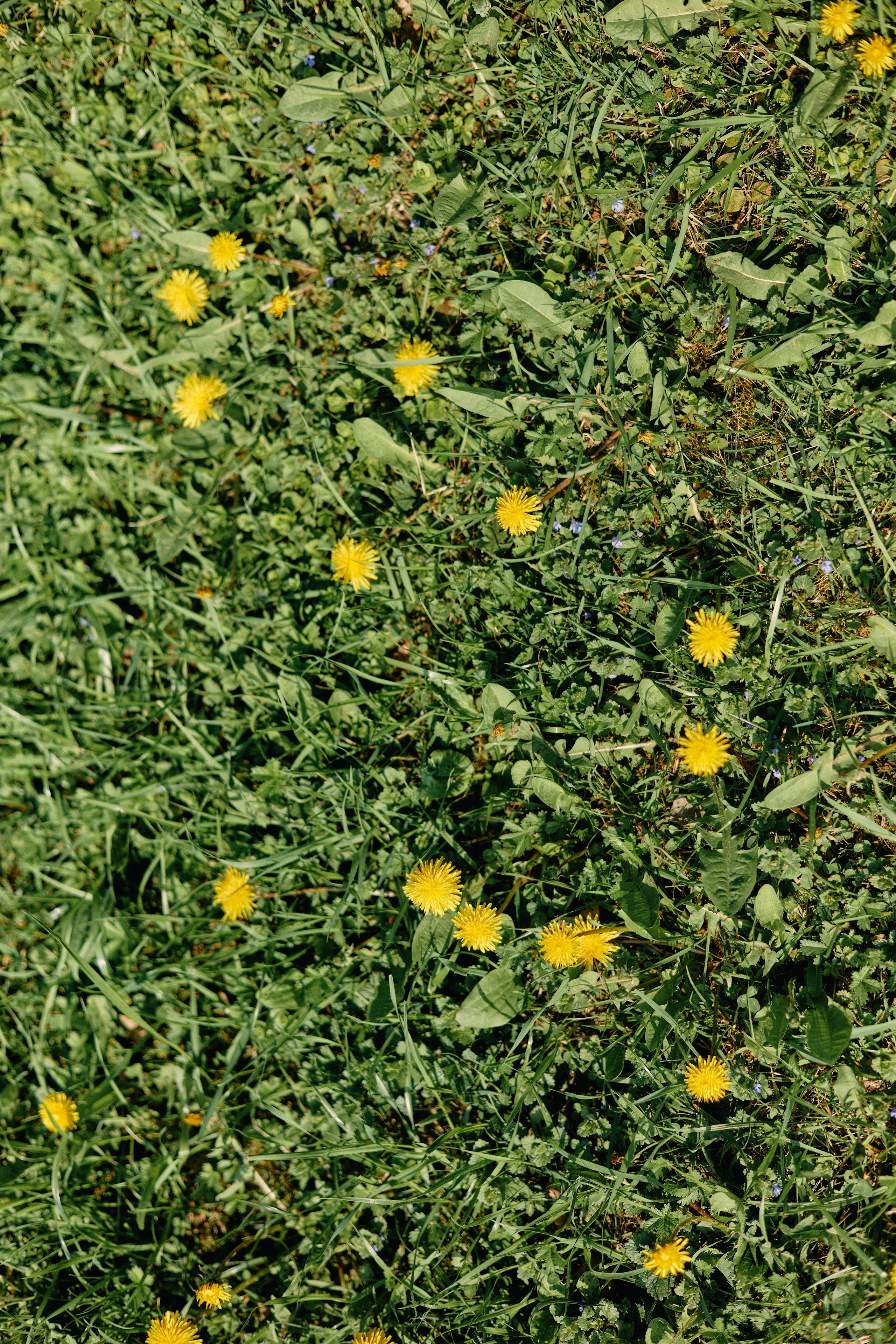 Бутик-отель Поле летом. Профессиональный Фотограф во Владимире, в Москве и в Суздале — Полина Романычева