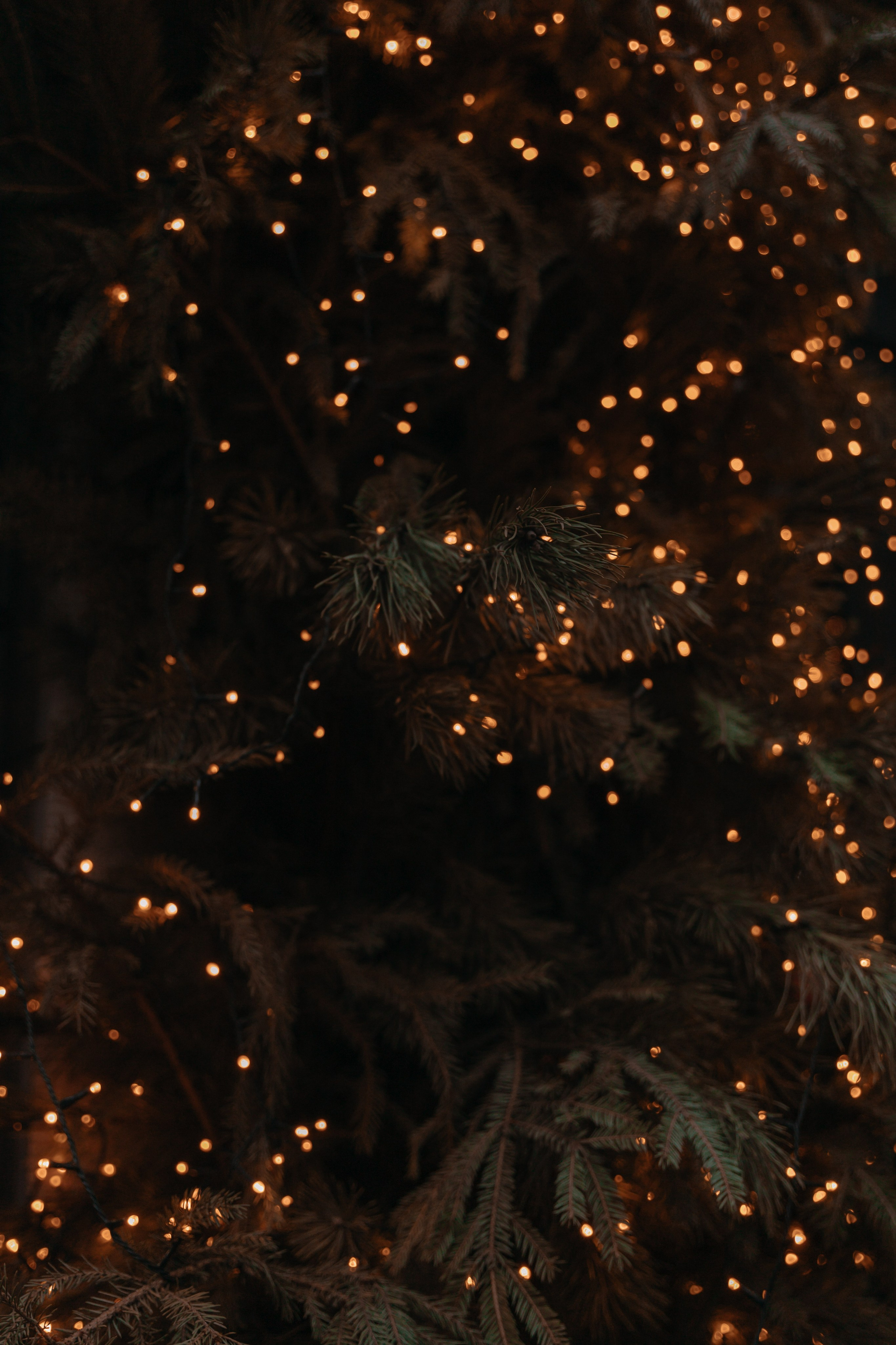 А & С. Женский и свадебный фотограф Москва Елизавета Перова