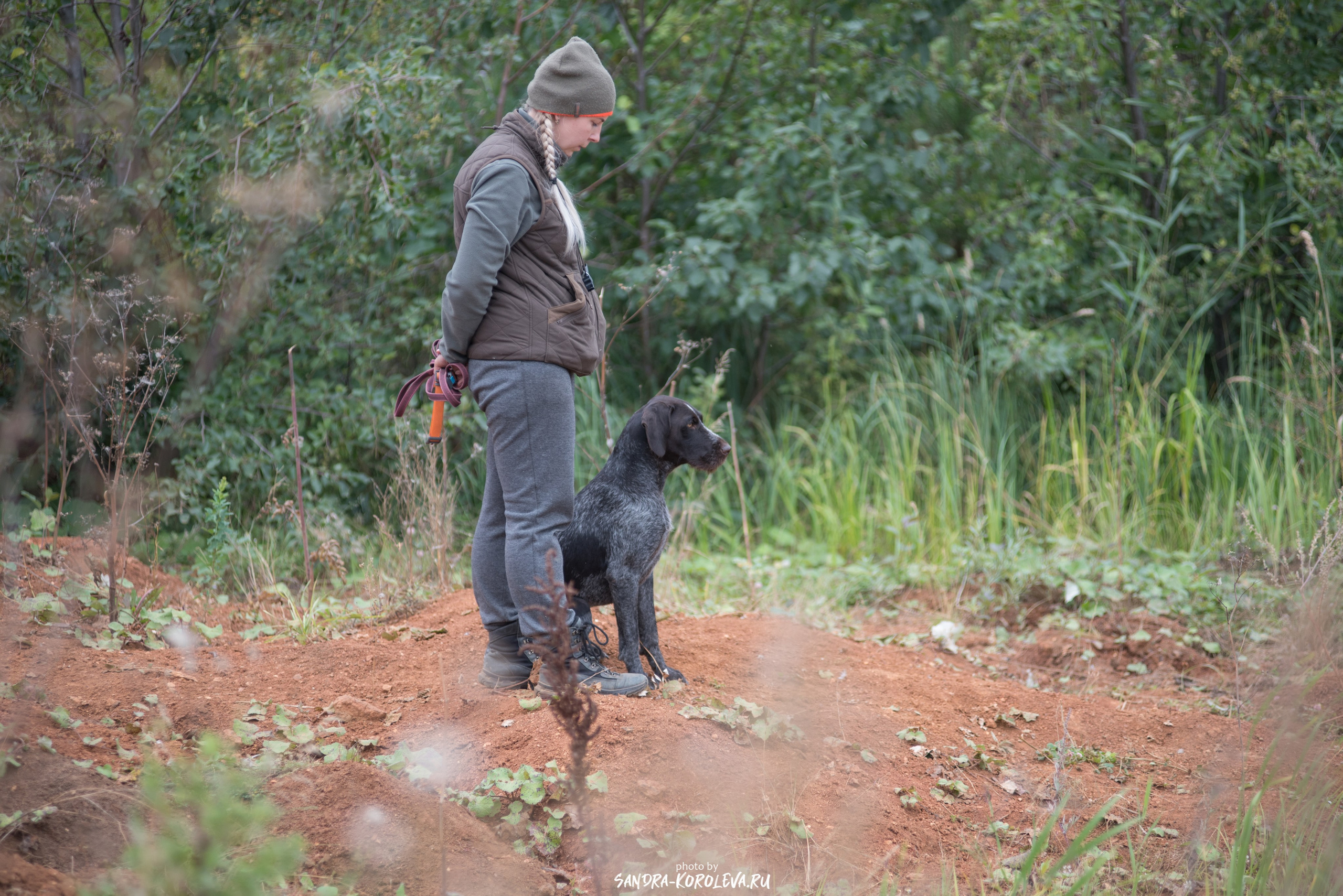 Рабочие дипломы. Главная