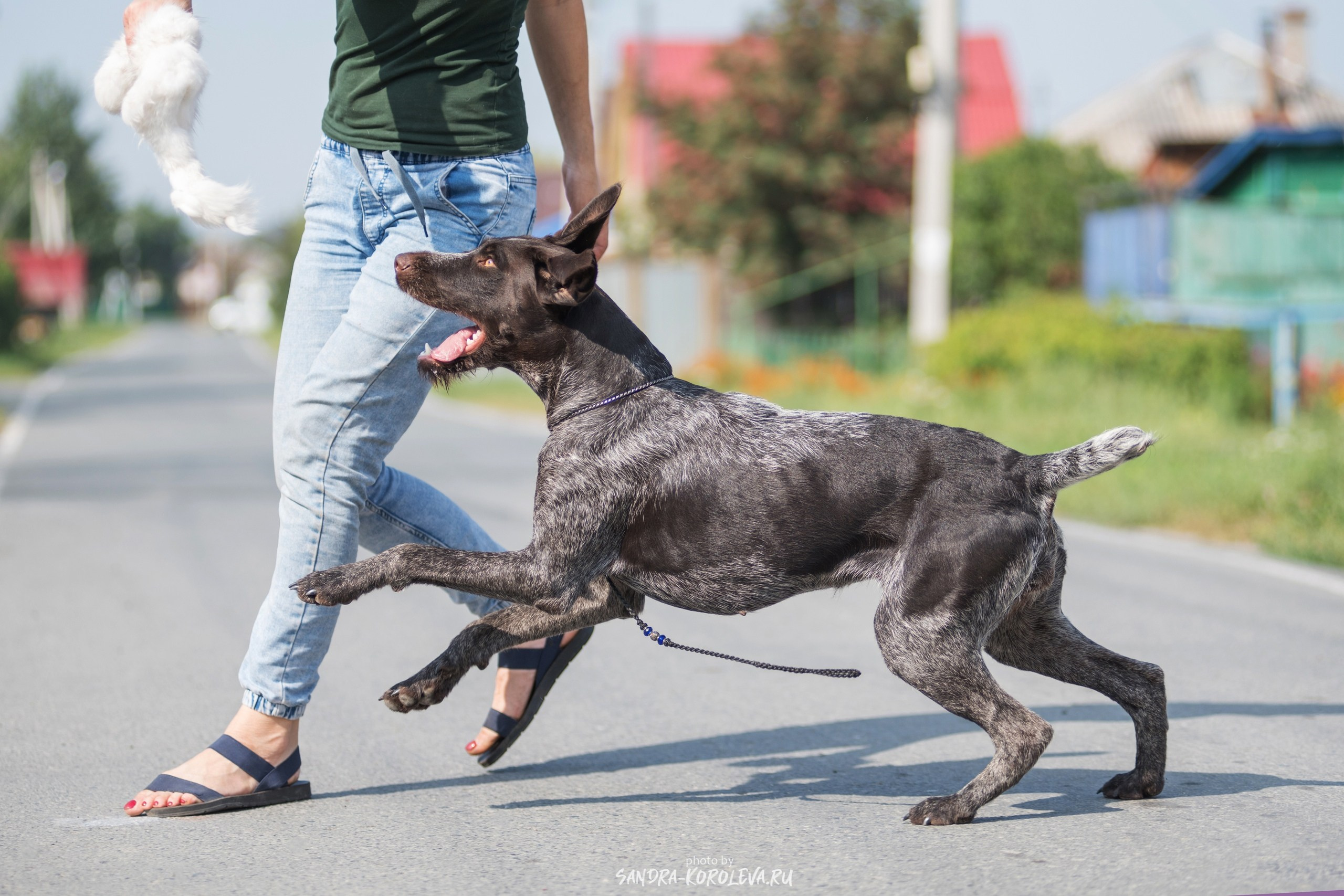 Фотографии. Главная