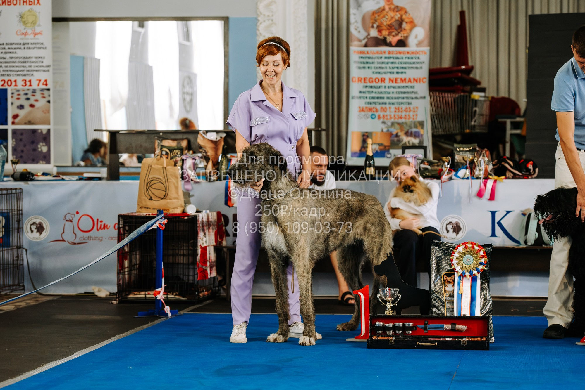Национальная выставка собак всех пород ранга САС-IKU «Кубок Красноярск. Фотограф Диана Оленина Красноярск / Братск