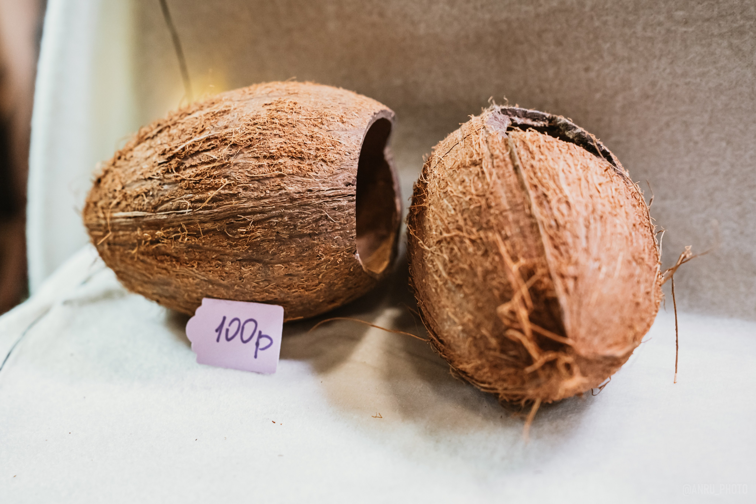 Рептилиум (ручная работа). Репортажный фотограф Анастасия Рубцова