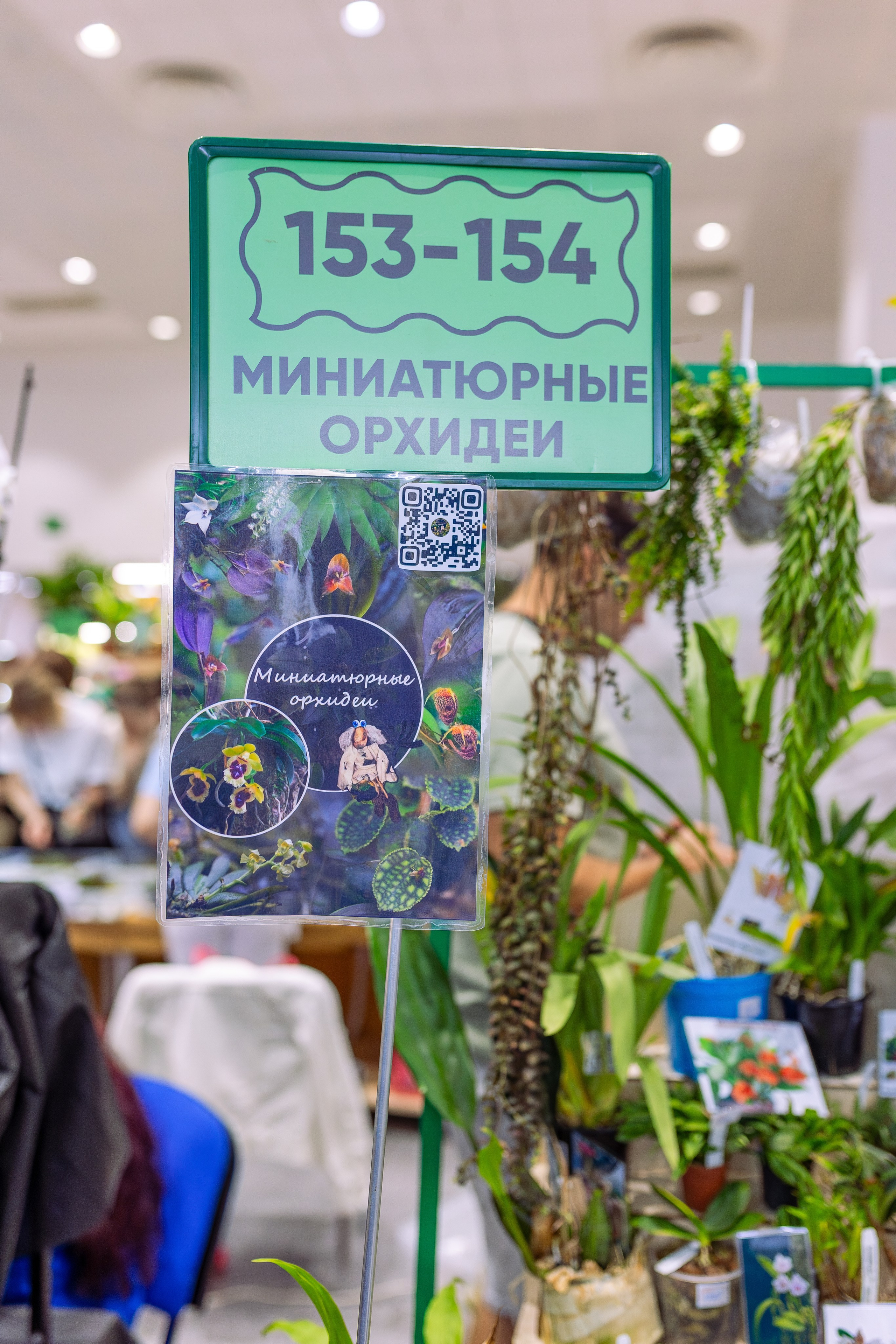 Орхидиум май 2026. Александра Куликова фотограф, Москва