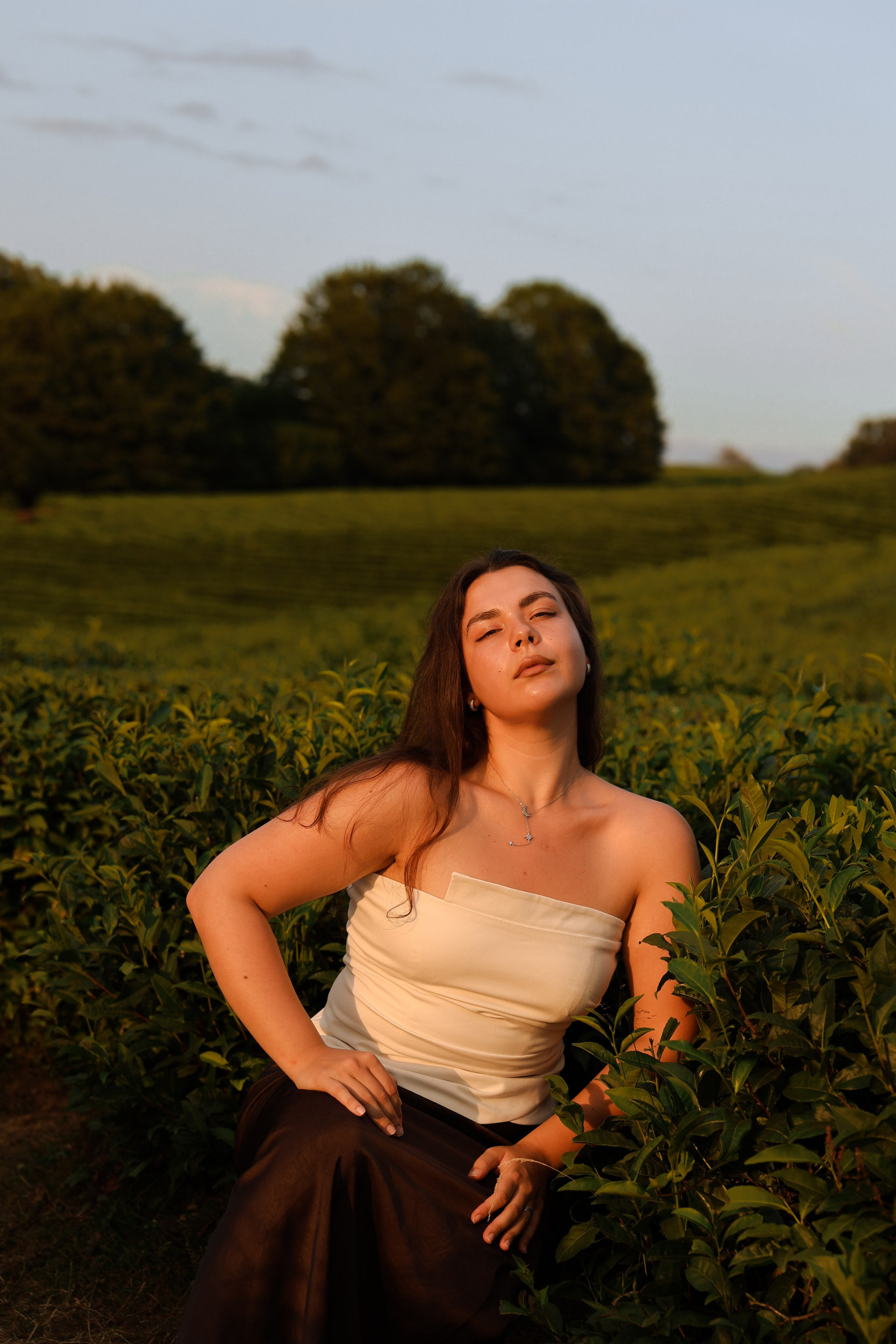 ЧАЙНЫЕ ПЛАНТАЦИИ. Фотограф Москва Оля Олбимак