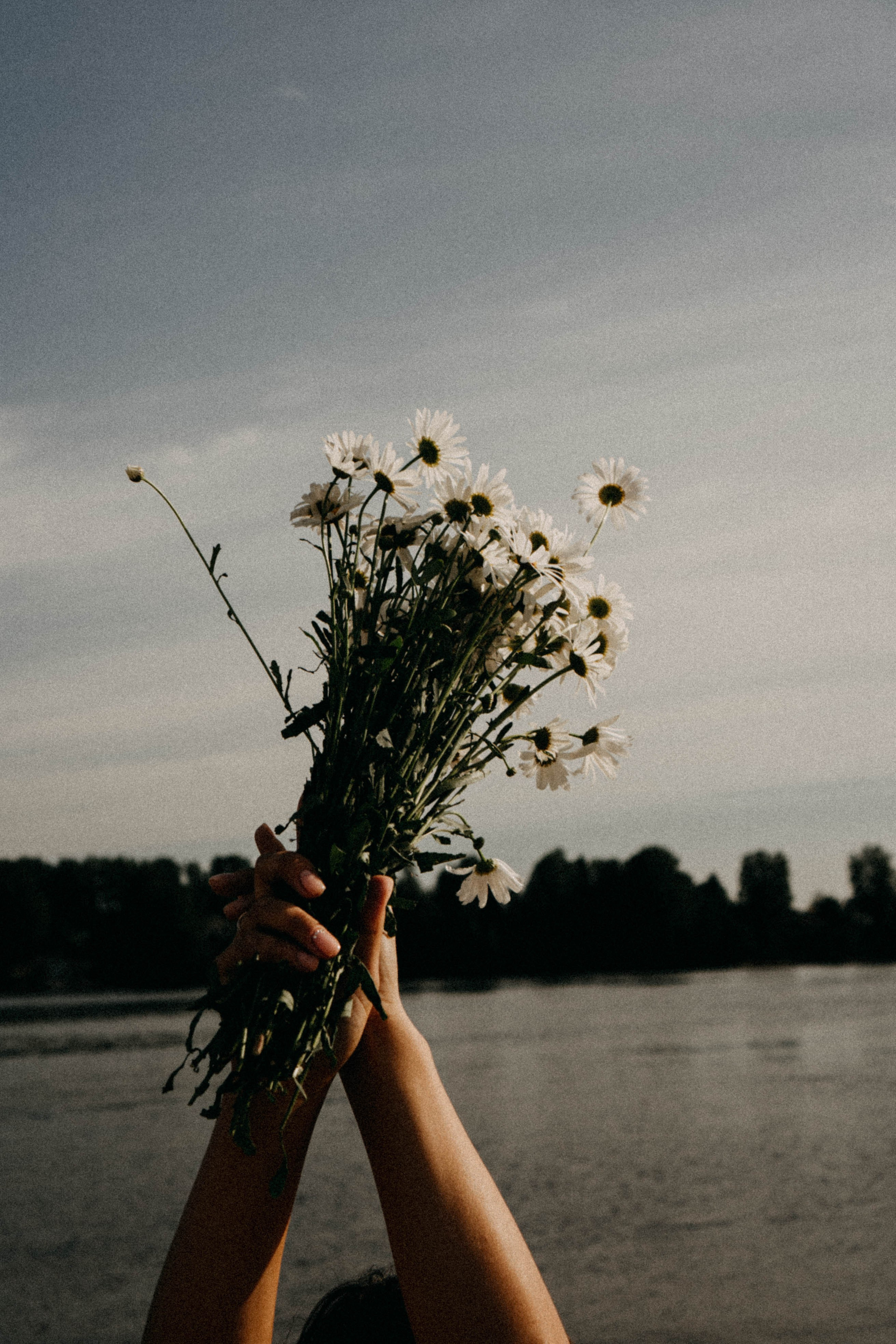 Летняя прогулка. Профессиональный фотограф, Санкт-Петербург — Виктория Богомолова