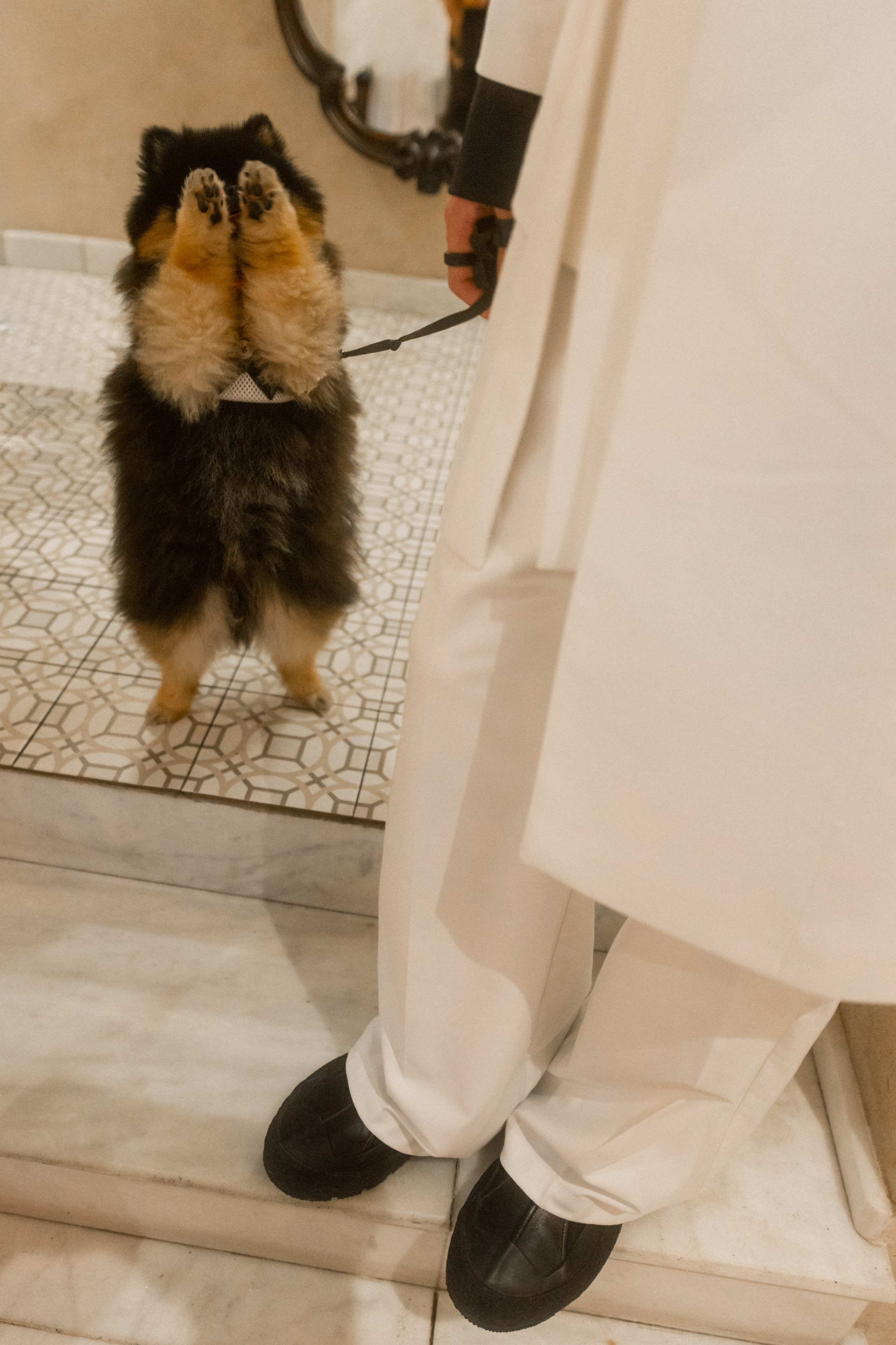 Карина и Коля. Фотограф в Москве Екатерина Черненко