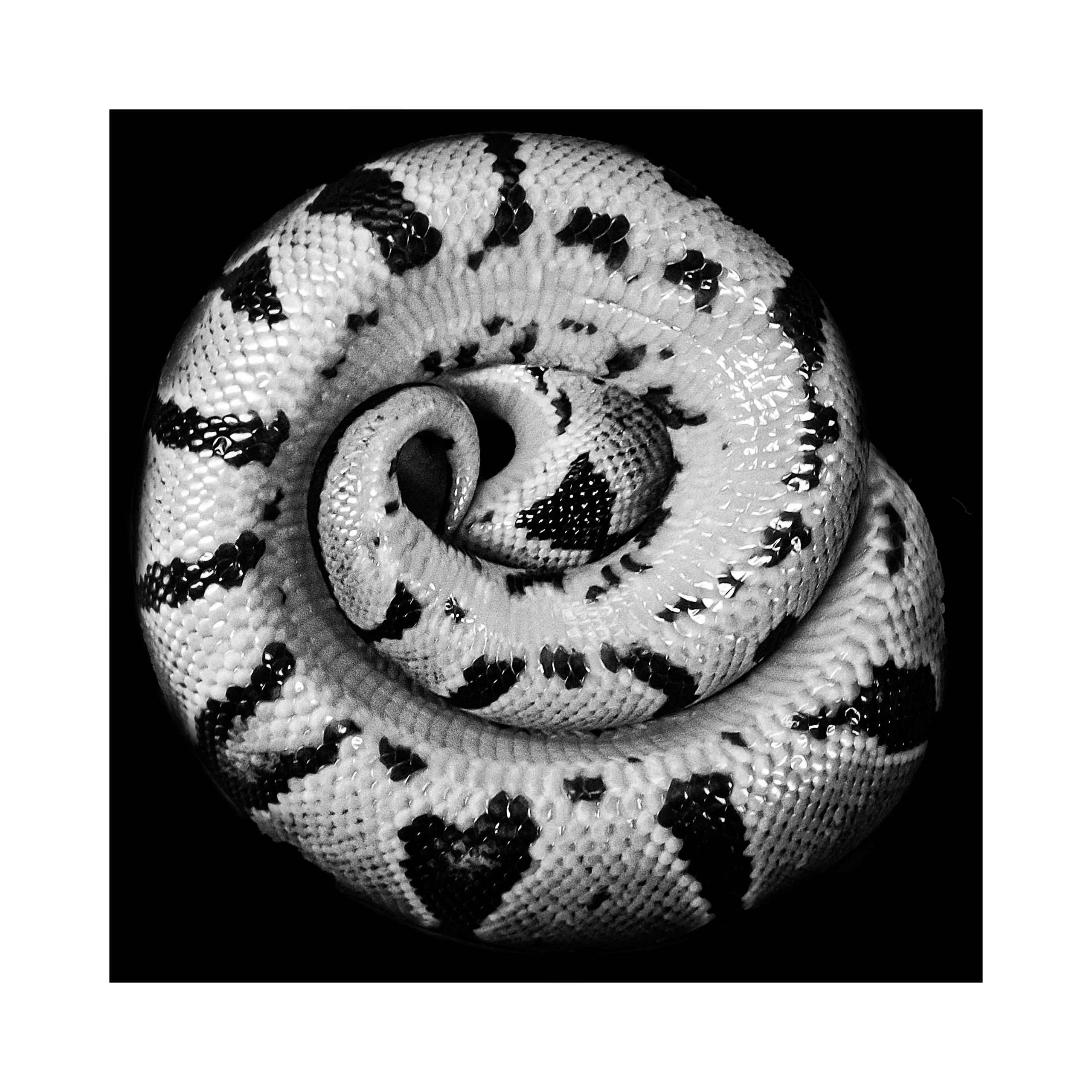 Фотопроект «Круги жизни». Портретный фотограф в Челябинске Катерина Руди