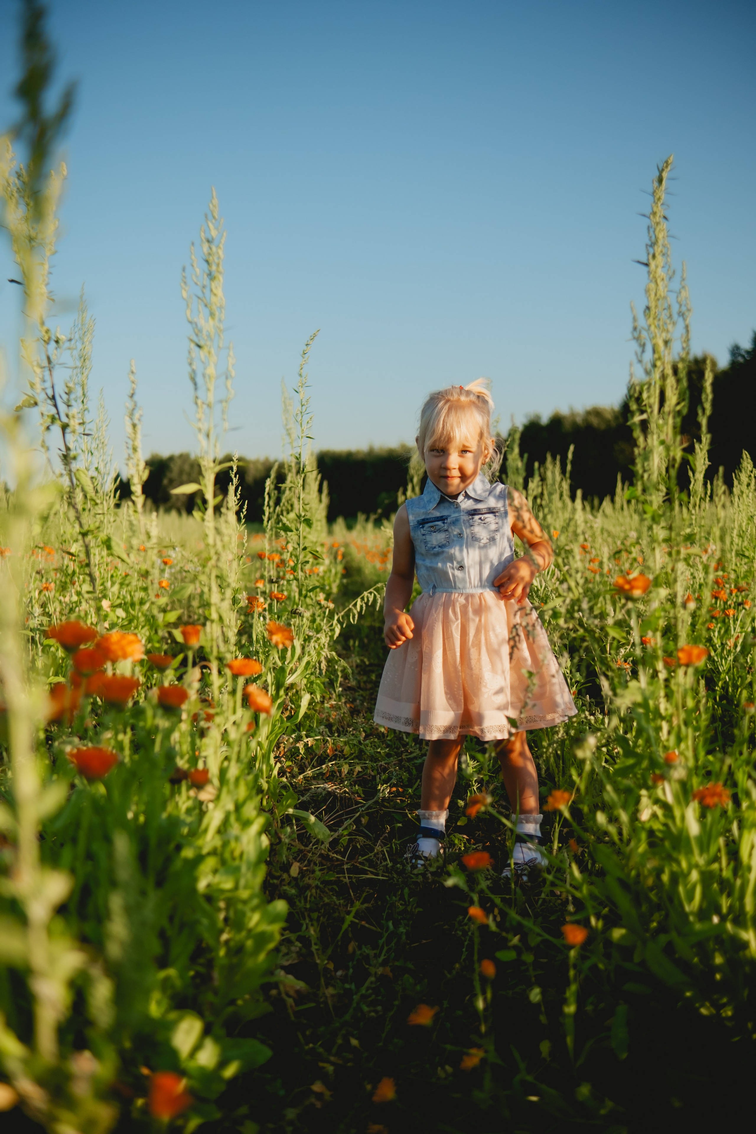 Семейная съемка в лованде. Nattie.ph